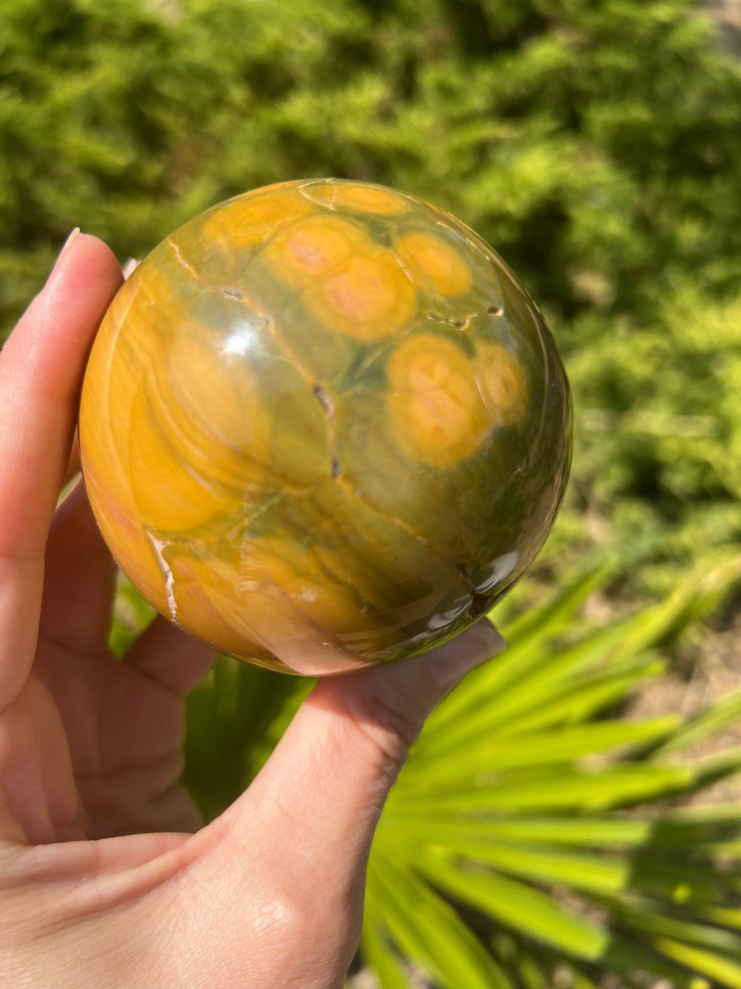 Kabamby Ocean Jasper Sphere / OJU25