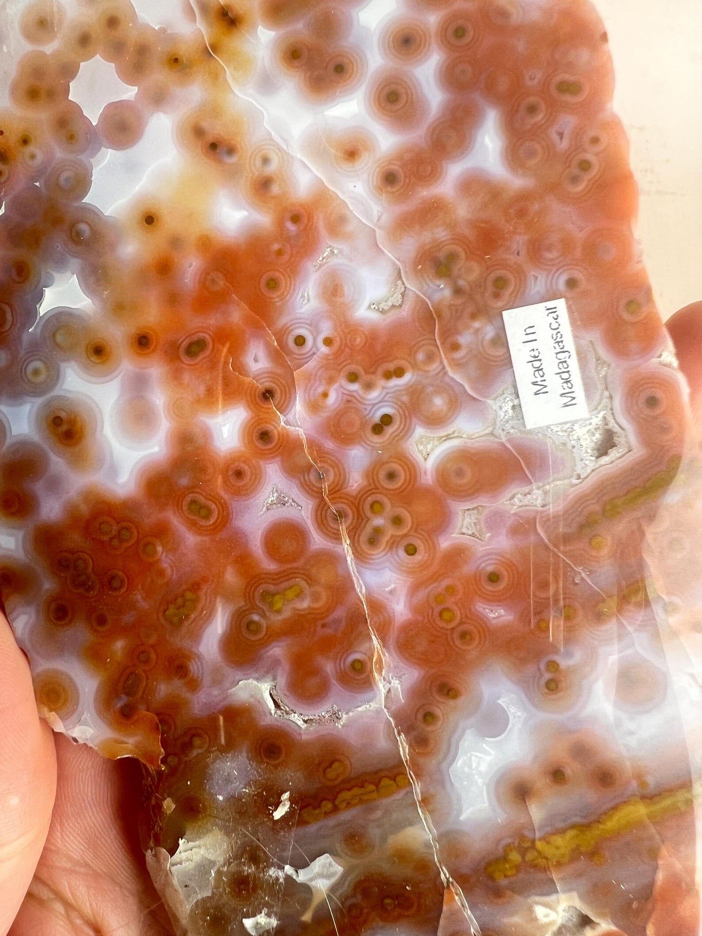 Jelly Ocean Jasper Vein 3 - 4 Rare Red Slab / High Translucency