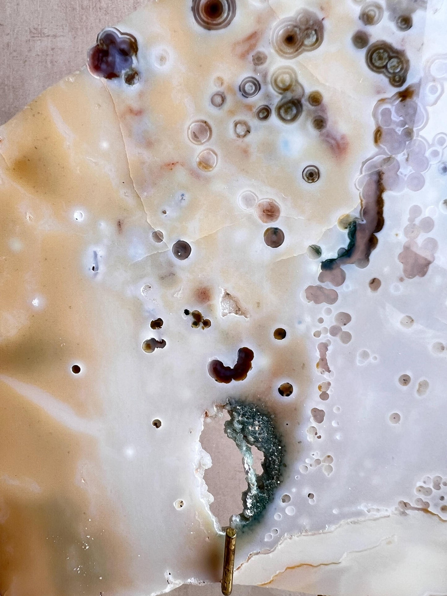 Vein 1 - 2 Large Ocean Jasper Slab Highly Translucent