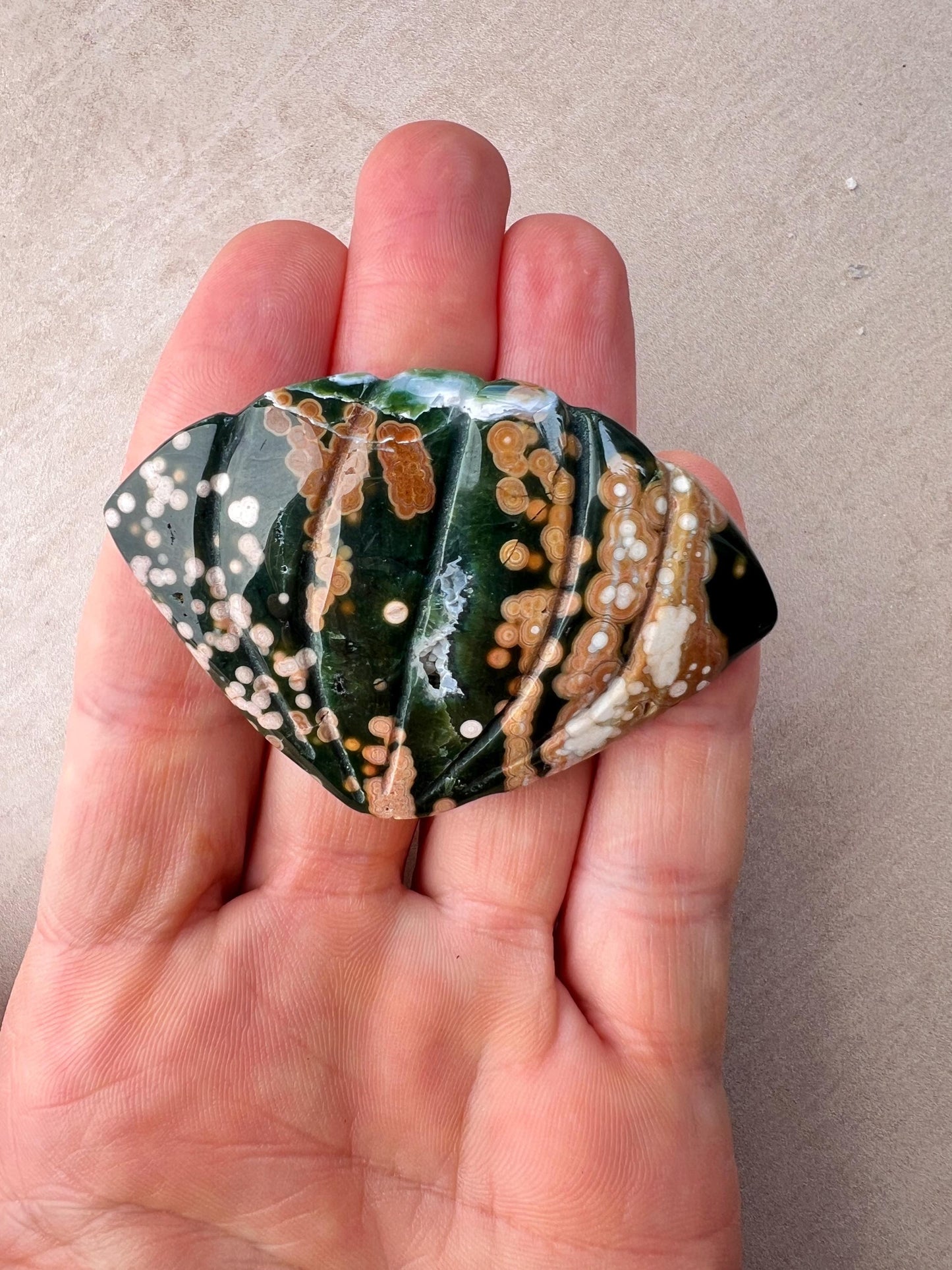 Rare Ocean Jasper Sea Shell Carving: Earthy Boho Beach Decor Specimen