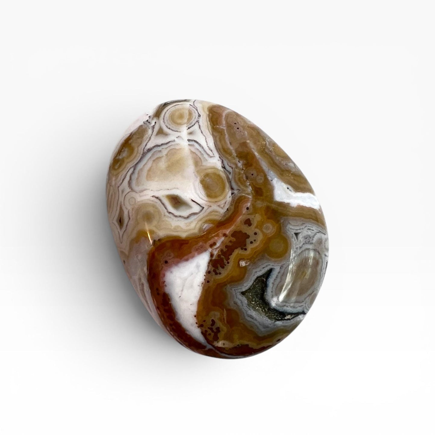 Marovato Ocean Jasper Palm Stone - Vein 8 Orbicular Jasper Crystal from Madagascar