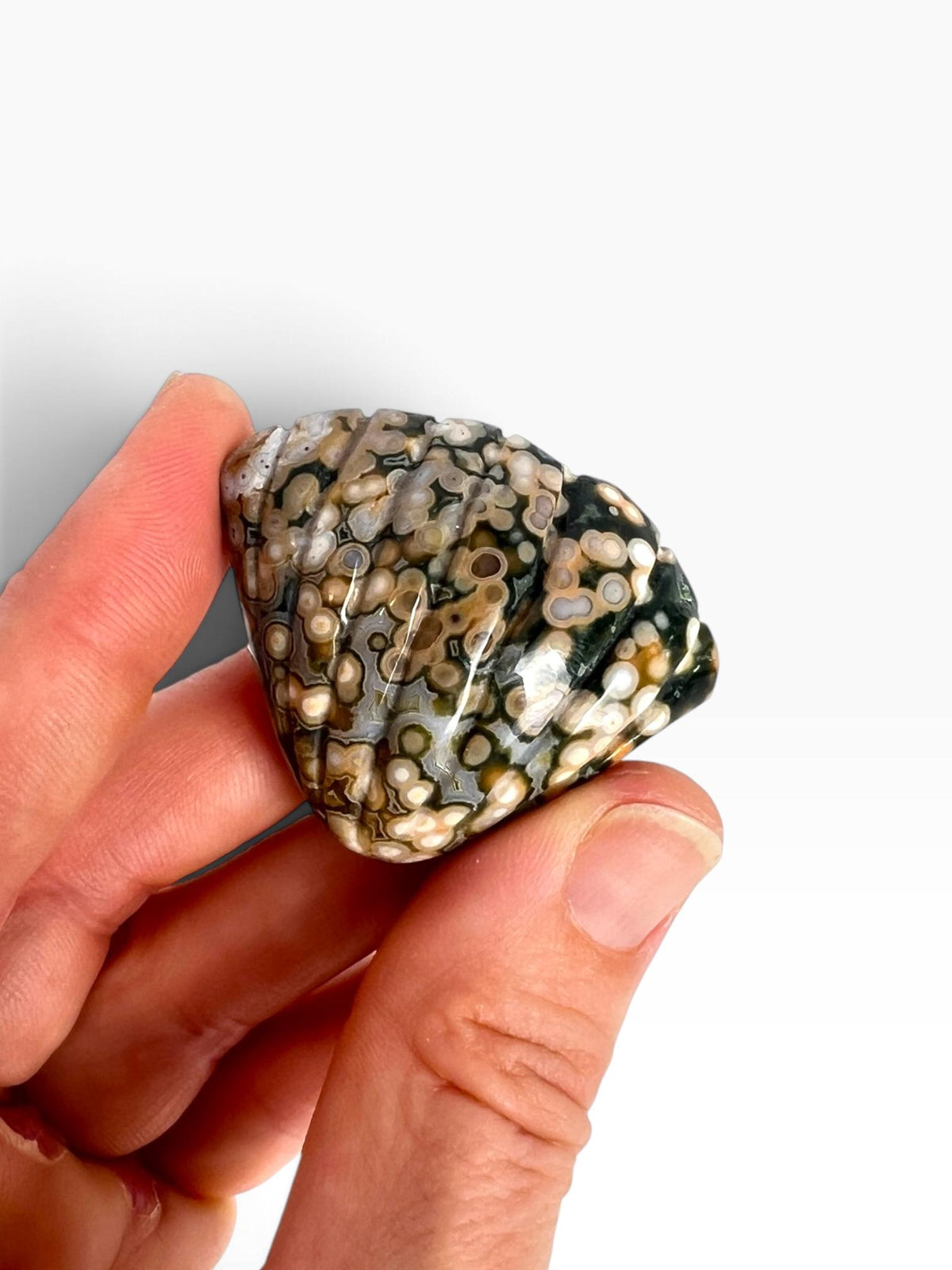 Old Stock Ocean Jasper Carved Sea Shell