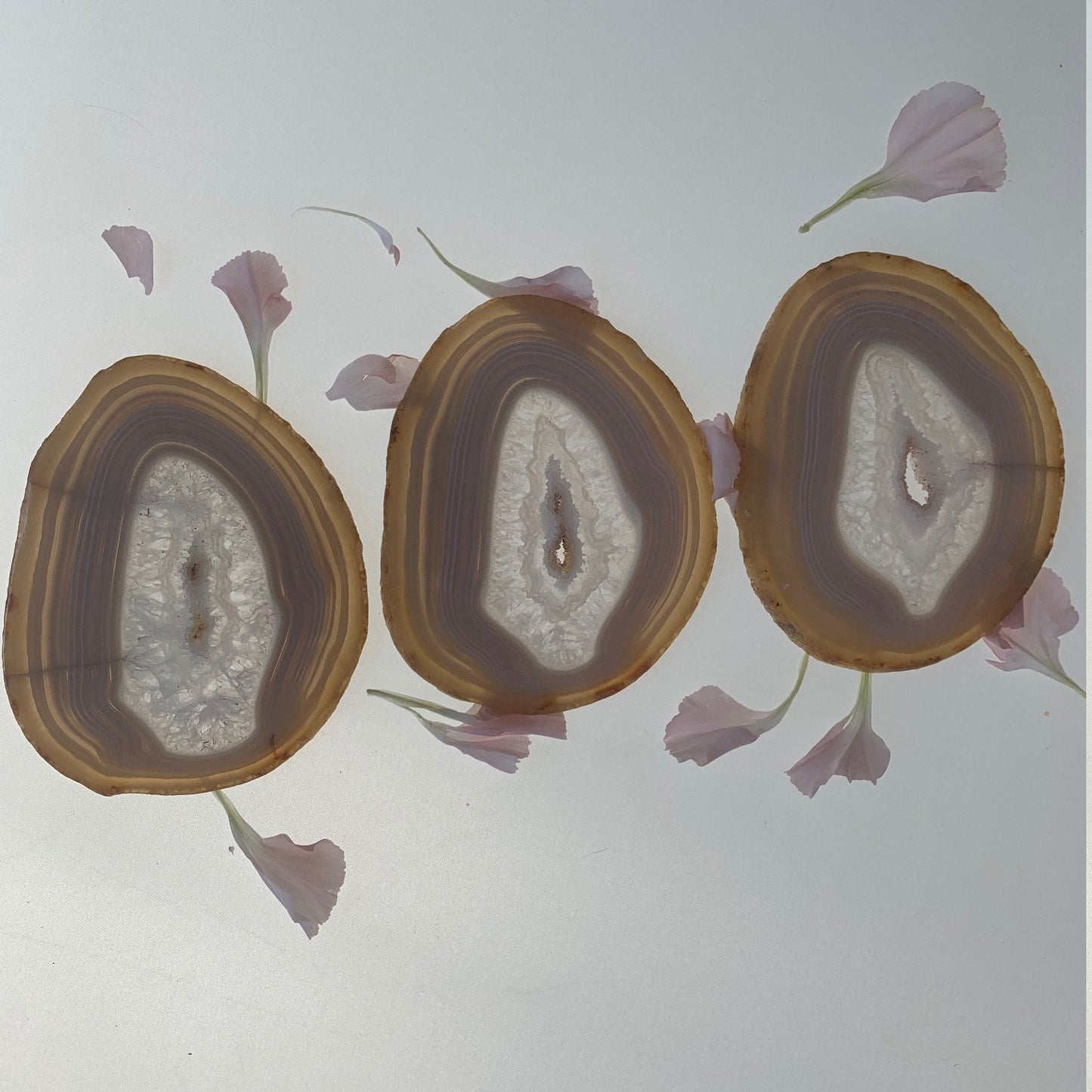 Agate Slices Matching Set of 3 Piece AS1