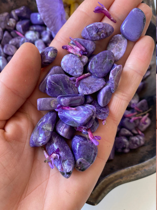 Charoite Tumbled Grid Stones 6 Piece Set Grade AAA XSmall