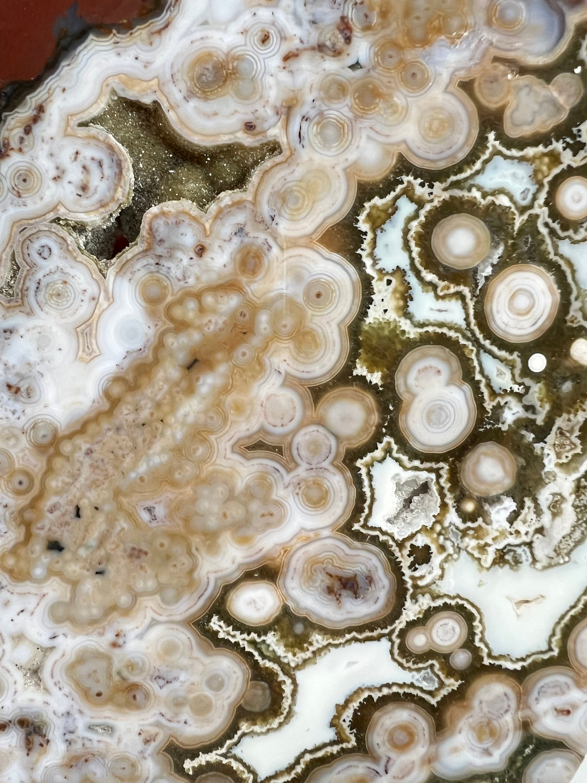 Ocean Jasper Slab : Vein 8 Rare Brown Presentation