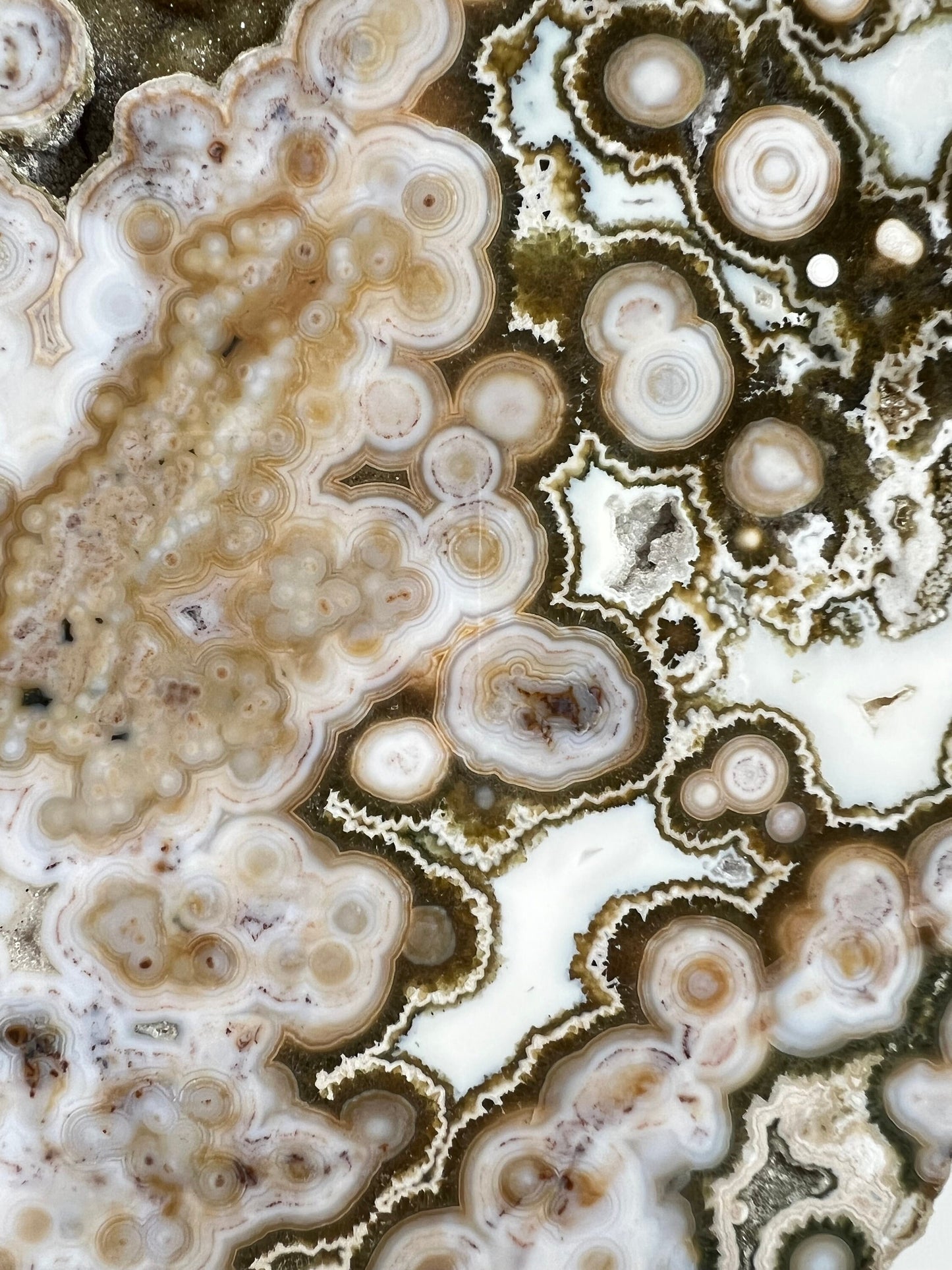 Ocean Jasper Slab : Vein 8 Rare Brown Presentation