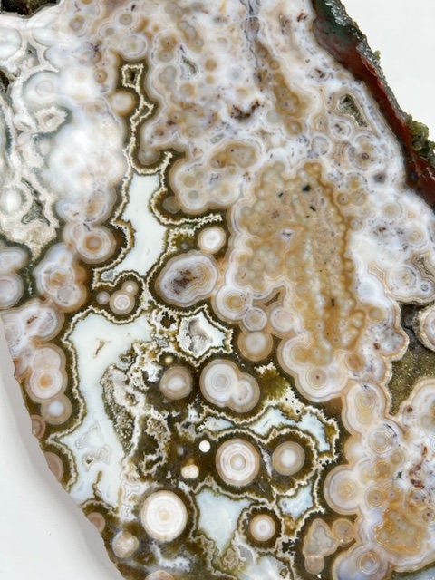 Ocean Jasper Slab : Vein 8 Rare Brown Presentation