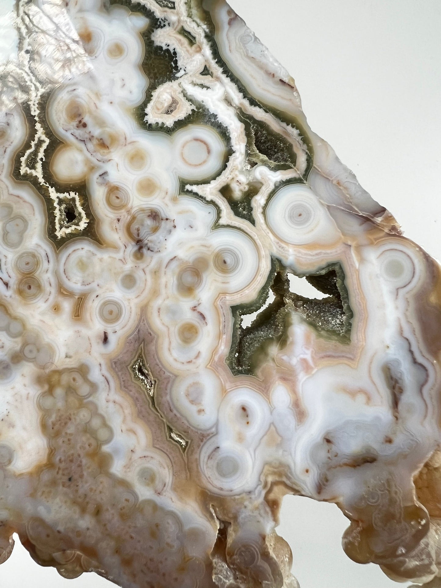 Ocean Jasper Slab : Vein 8 Rare Brown Presentation