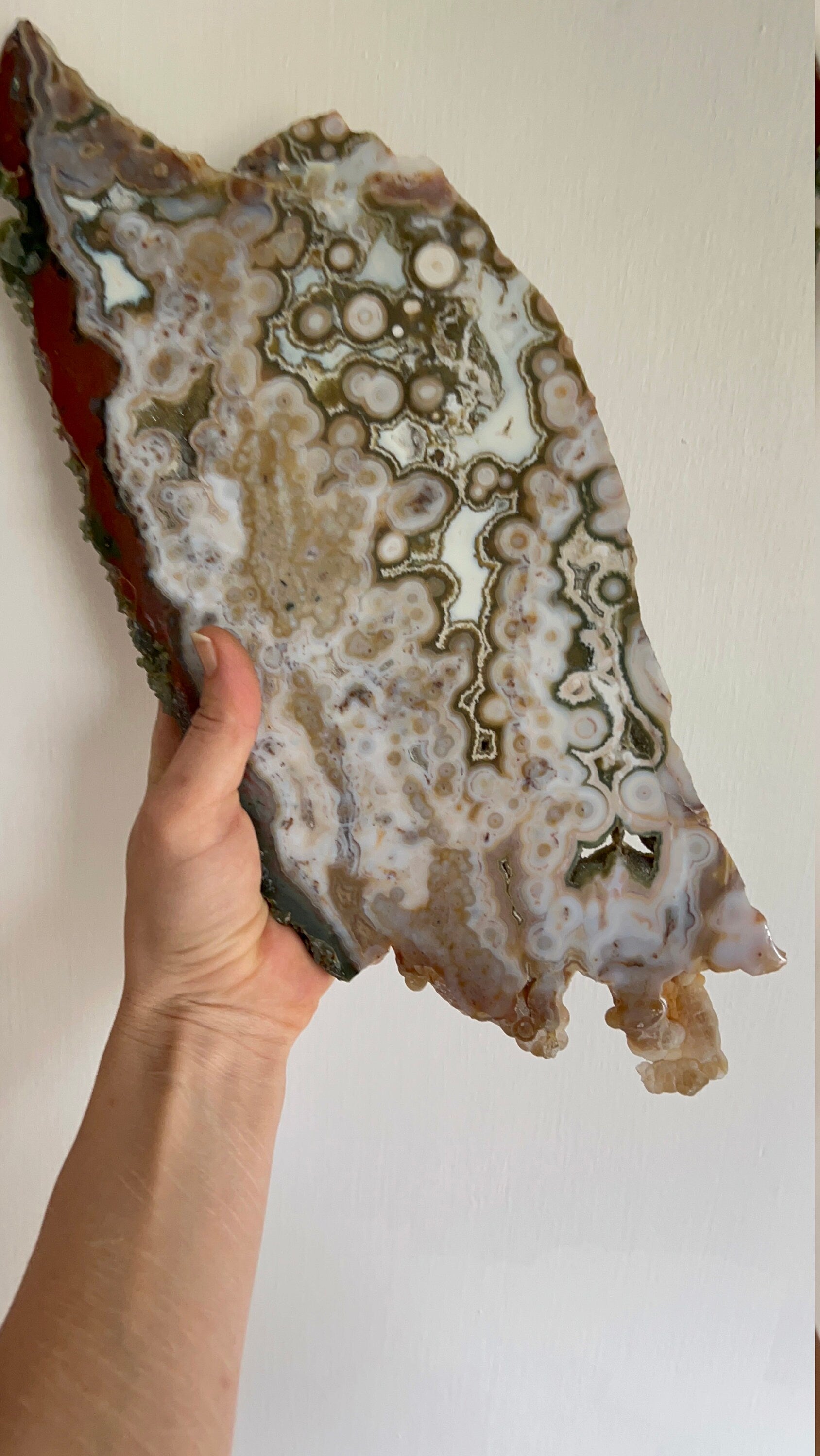 Ocean Jasper Slab : Vein 8 Rare Brown Presentation