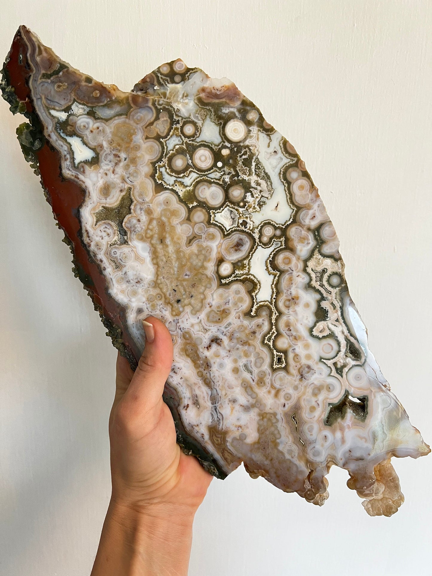 Ocean Jasper Slab : Vein 8 Rare Brown Presentation