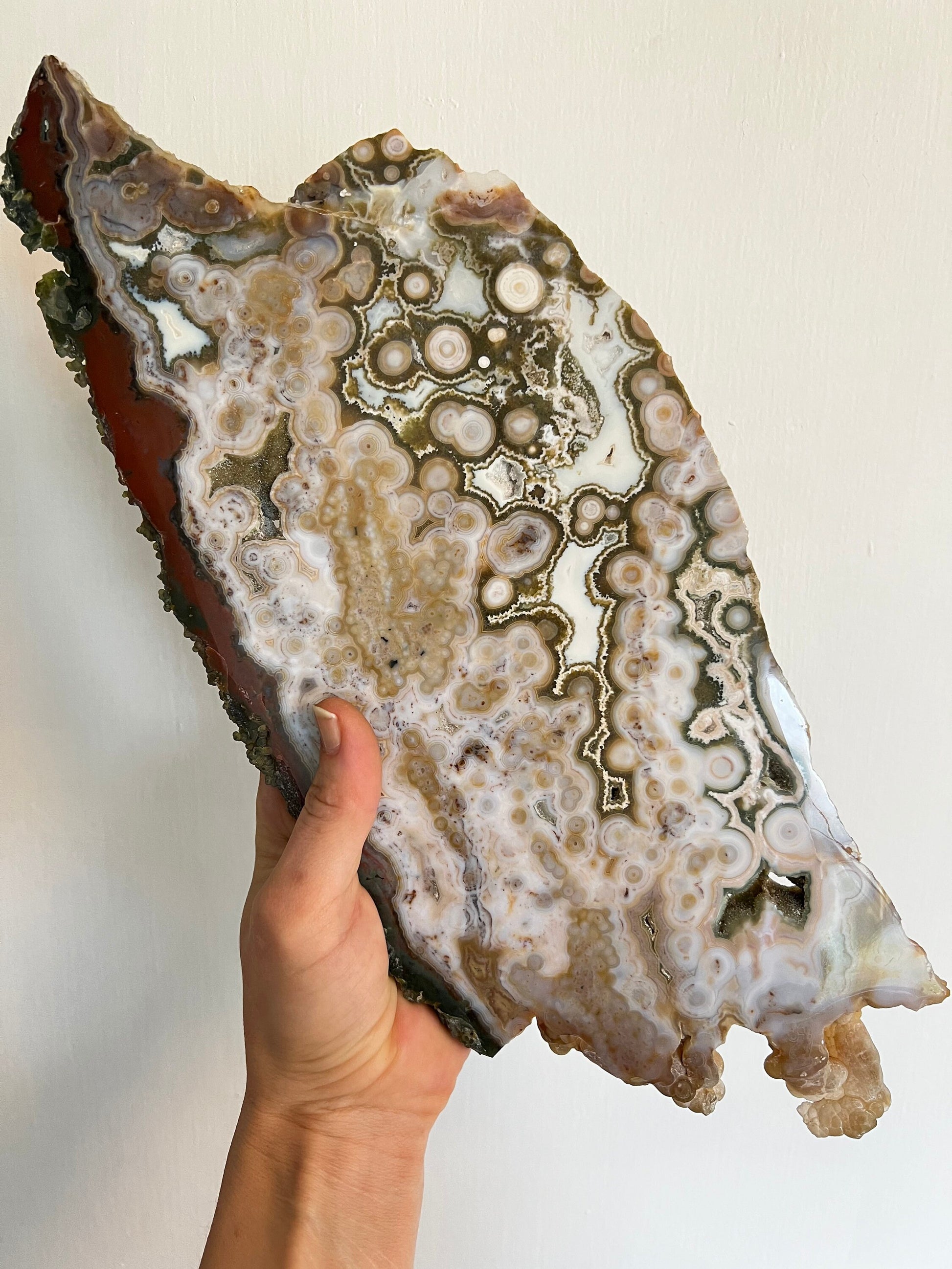 Ocean Jasper Slab : Vein 8 Rare Brown Presentation