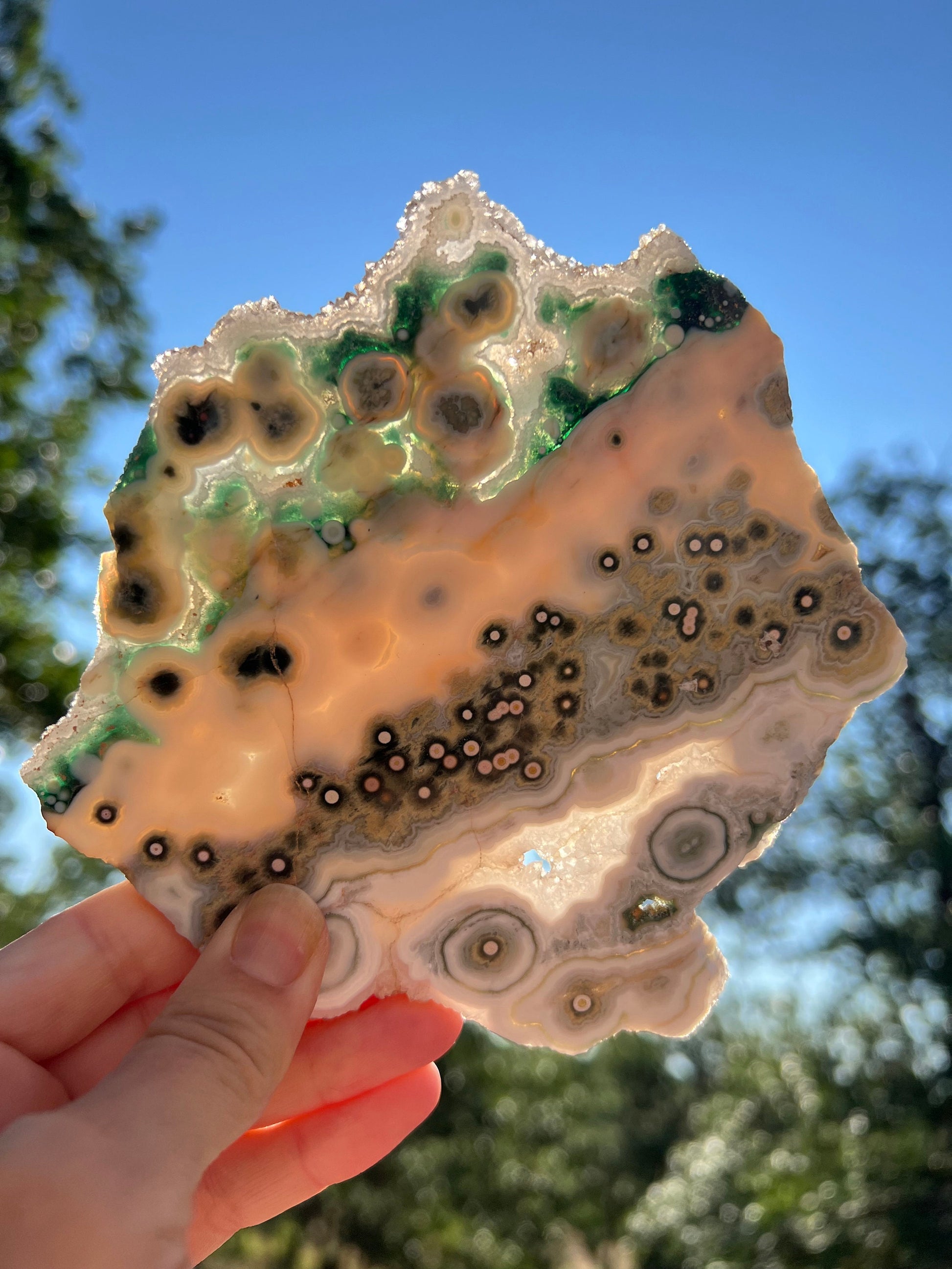 Vein 1 - 2 Ocean Jasper Slab / Flower burst orbs / OJU18