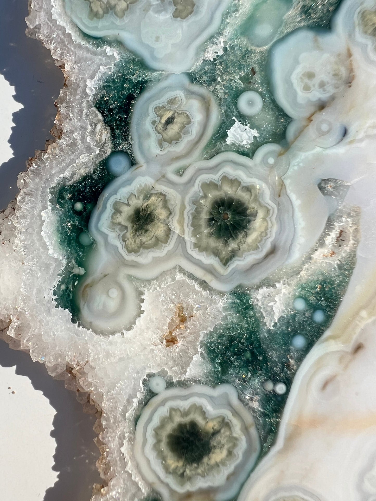 Vein 1 - 2 Ocean Jasper Slab / Flower burst orbs / OJU18