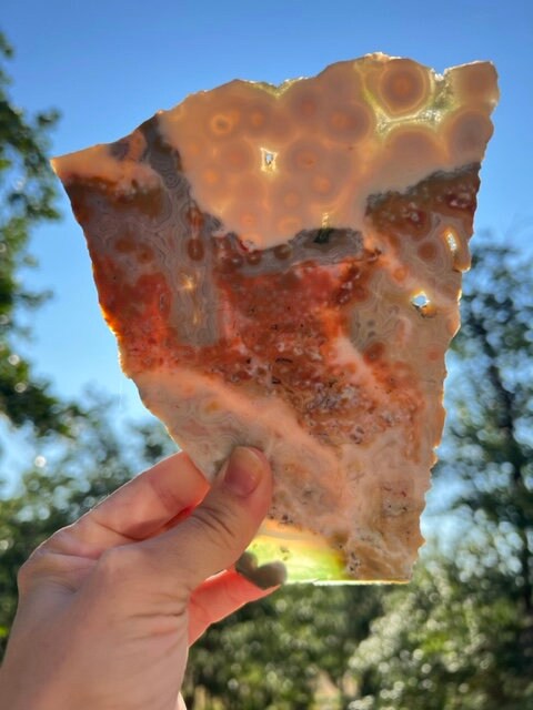 Vein 1 - 2 Ocean Jasper Slab / Flower burst orbs / OJU21
