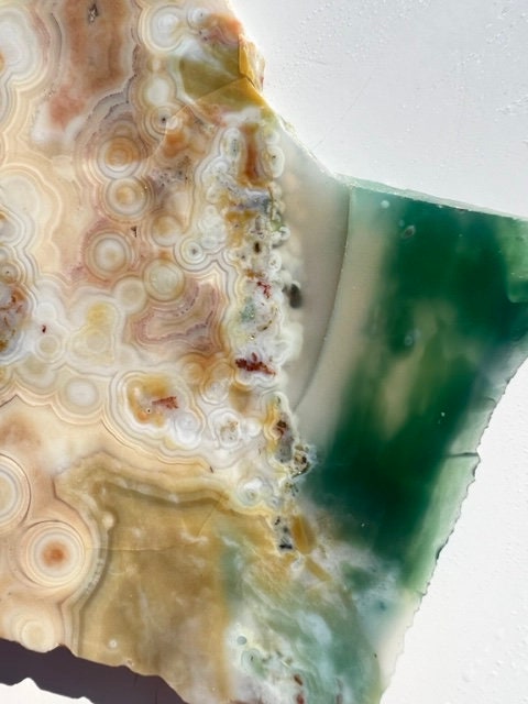 Vein 1 - 2 Ocean Jasper Slab / Flower burst orbs / OJU21