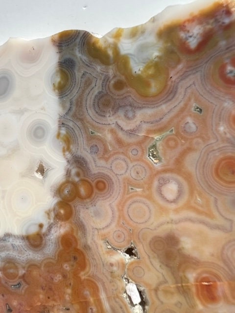 Vein 1 - 2 Ocean Jasper Slab / Flower burst orbs / OJU21