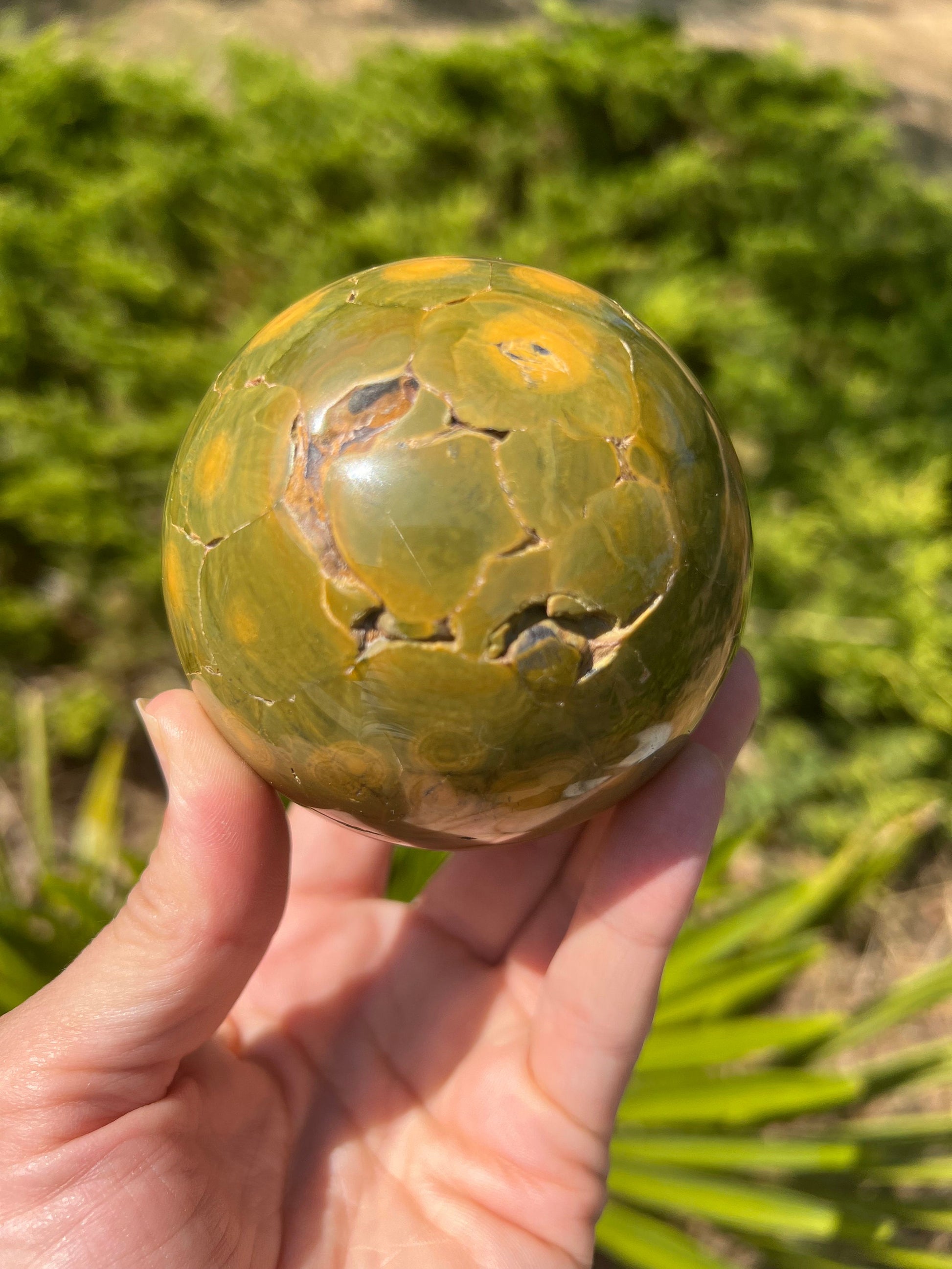 Kabamby Ocean Jasper Sphere / OJU25