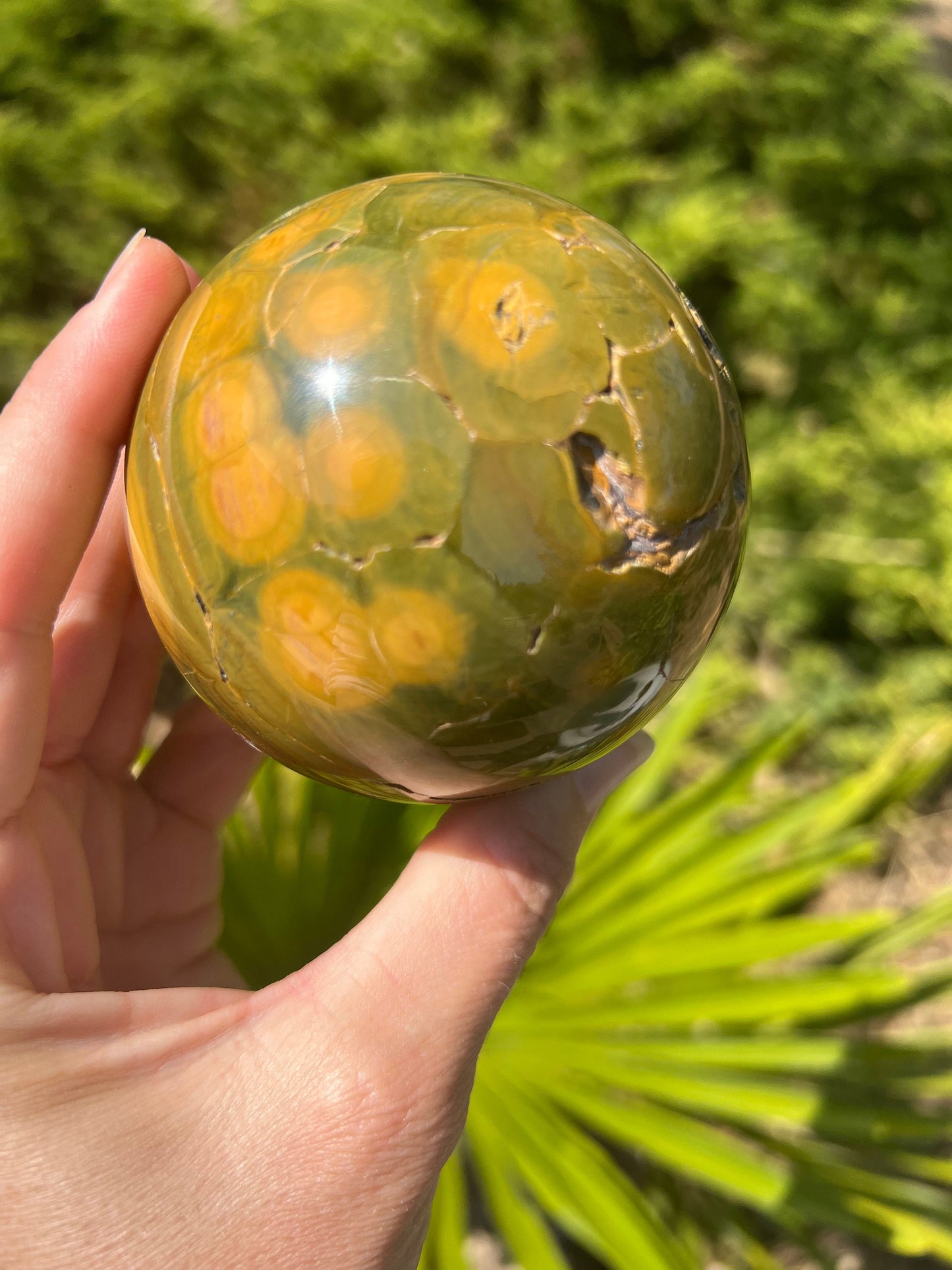 Kabamby Ocean Jasper Sphere / OJU25