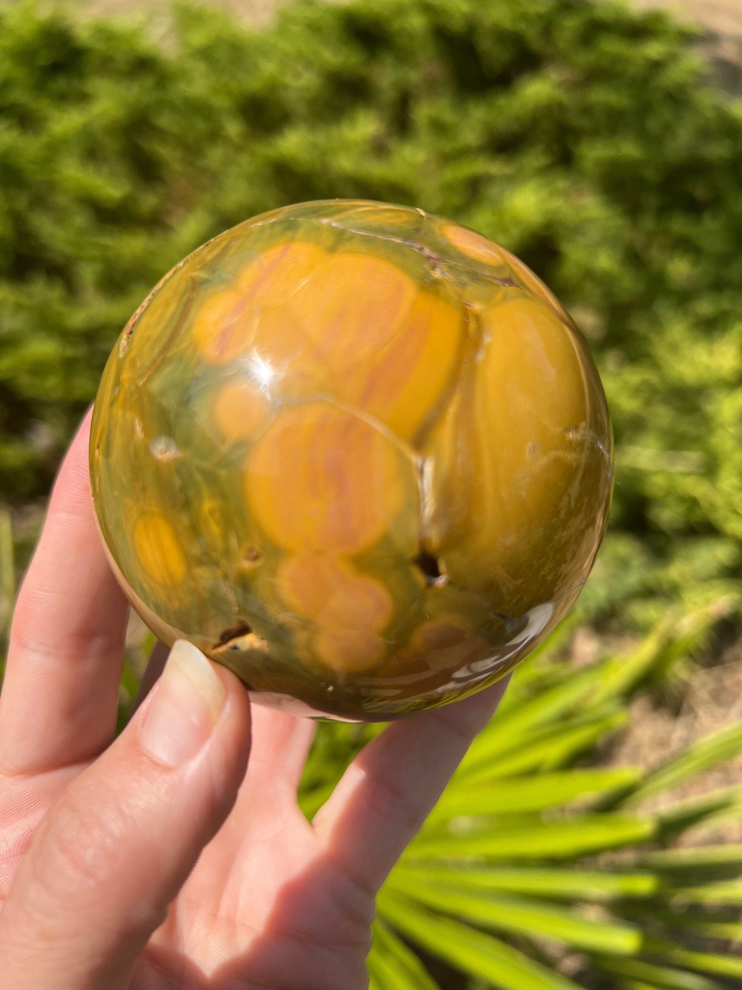 Kabamby Ocean Jasper Sphere / OJU25