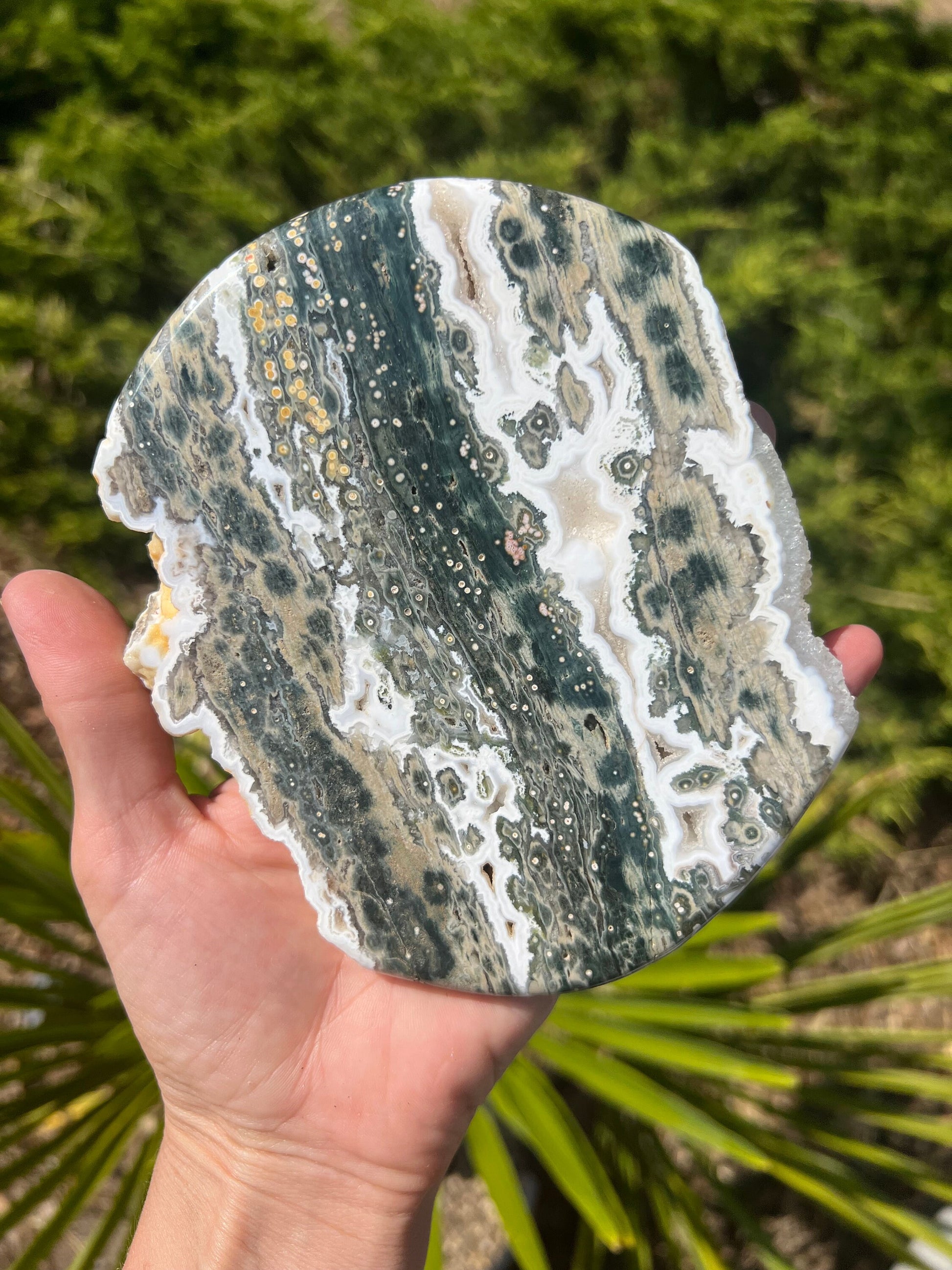 Vein 1 - 2 Ocean Jasper XXL Medallion / Flower burst orbs / OJU28