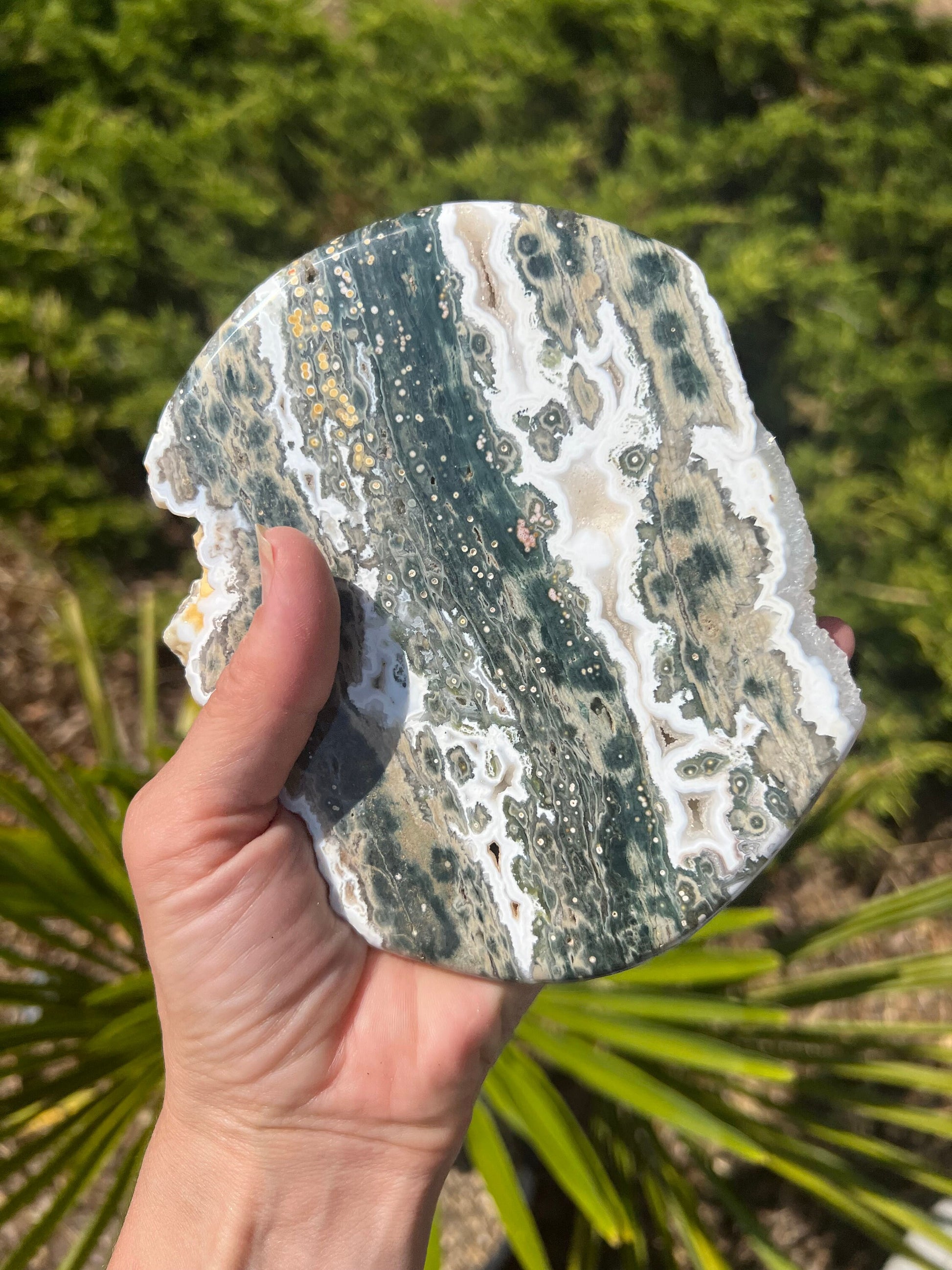 Vein 1 - 2 Ocean Jasper XXL Medallion / Flower burst orbs / OJU28