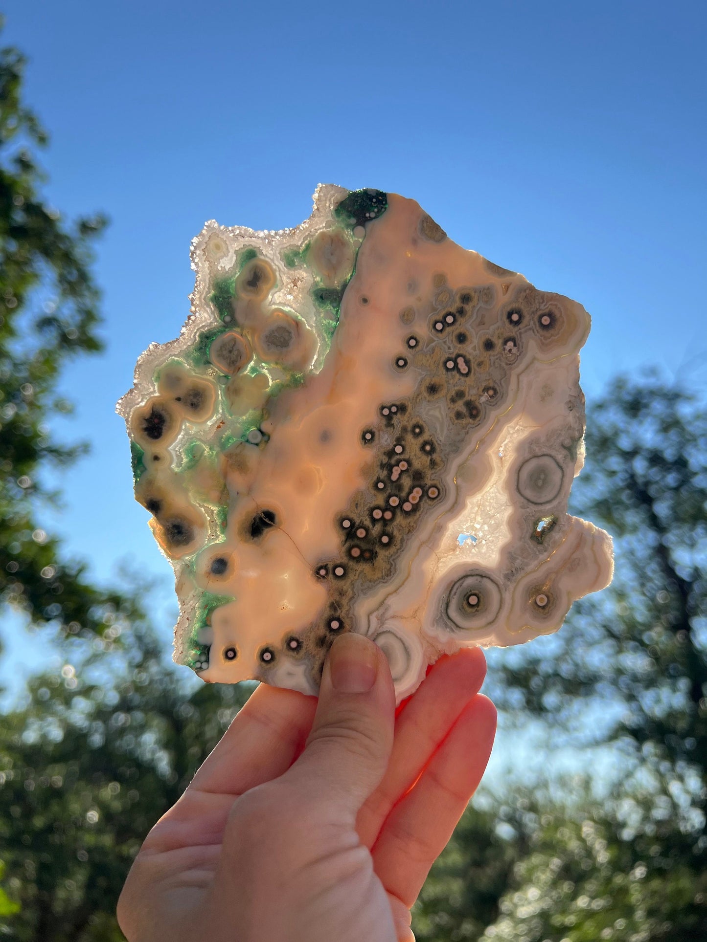 Vein 1 - 2 Ocean Jasper Slab / Flower burst orbs / OJU18