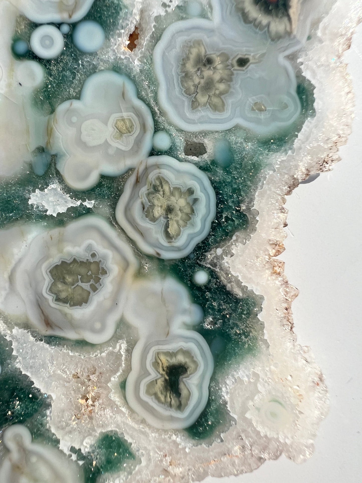 Vein 1 - 2 Ocean Jasper Slab / Flower burst orbs / OJU18