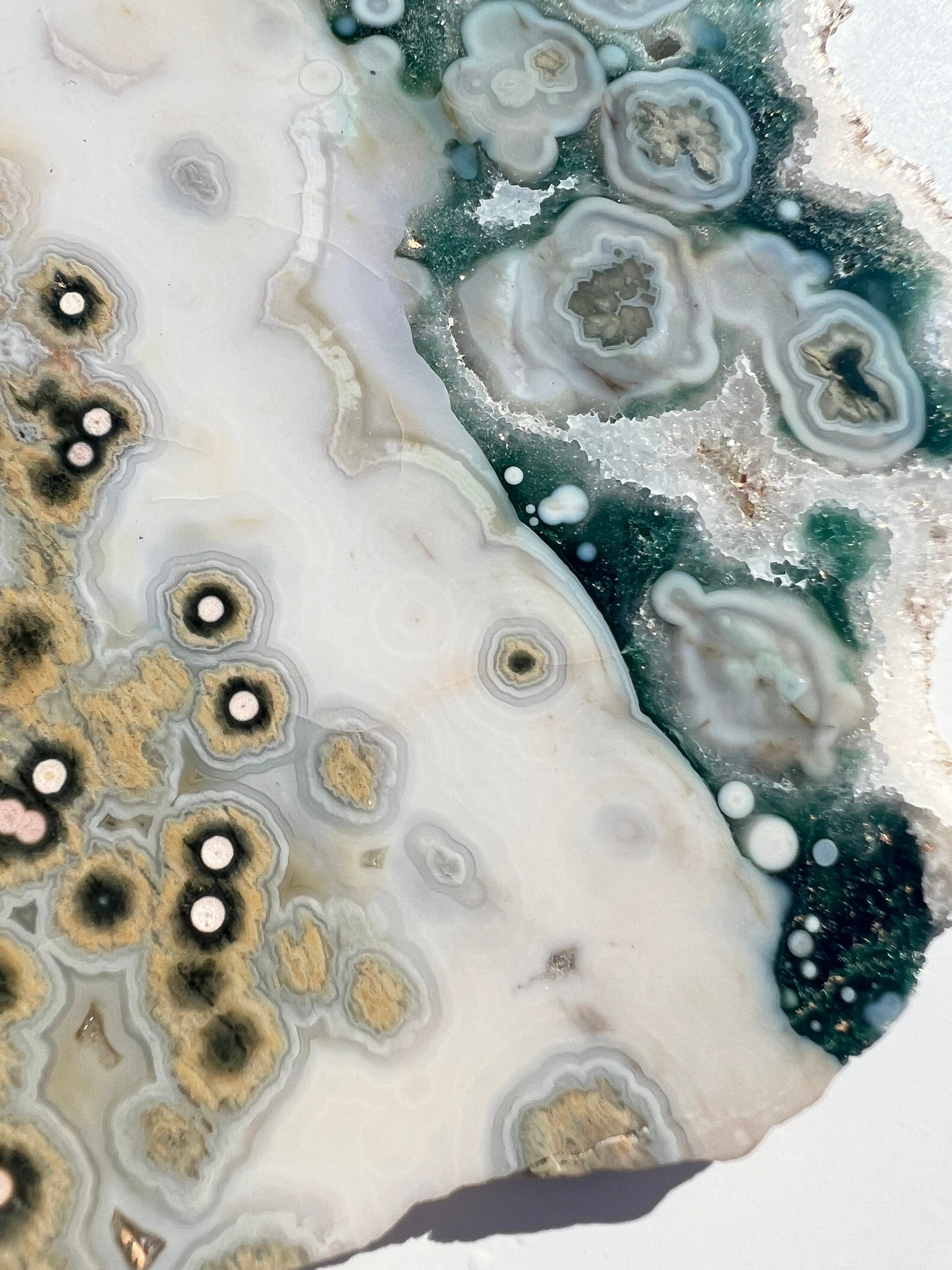 Vein 1 - 2 Ocean Jasper Slab / Flower burst orbs / OJU18