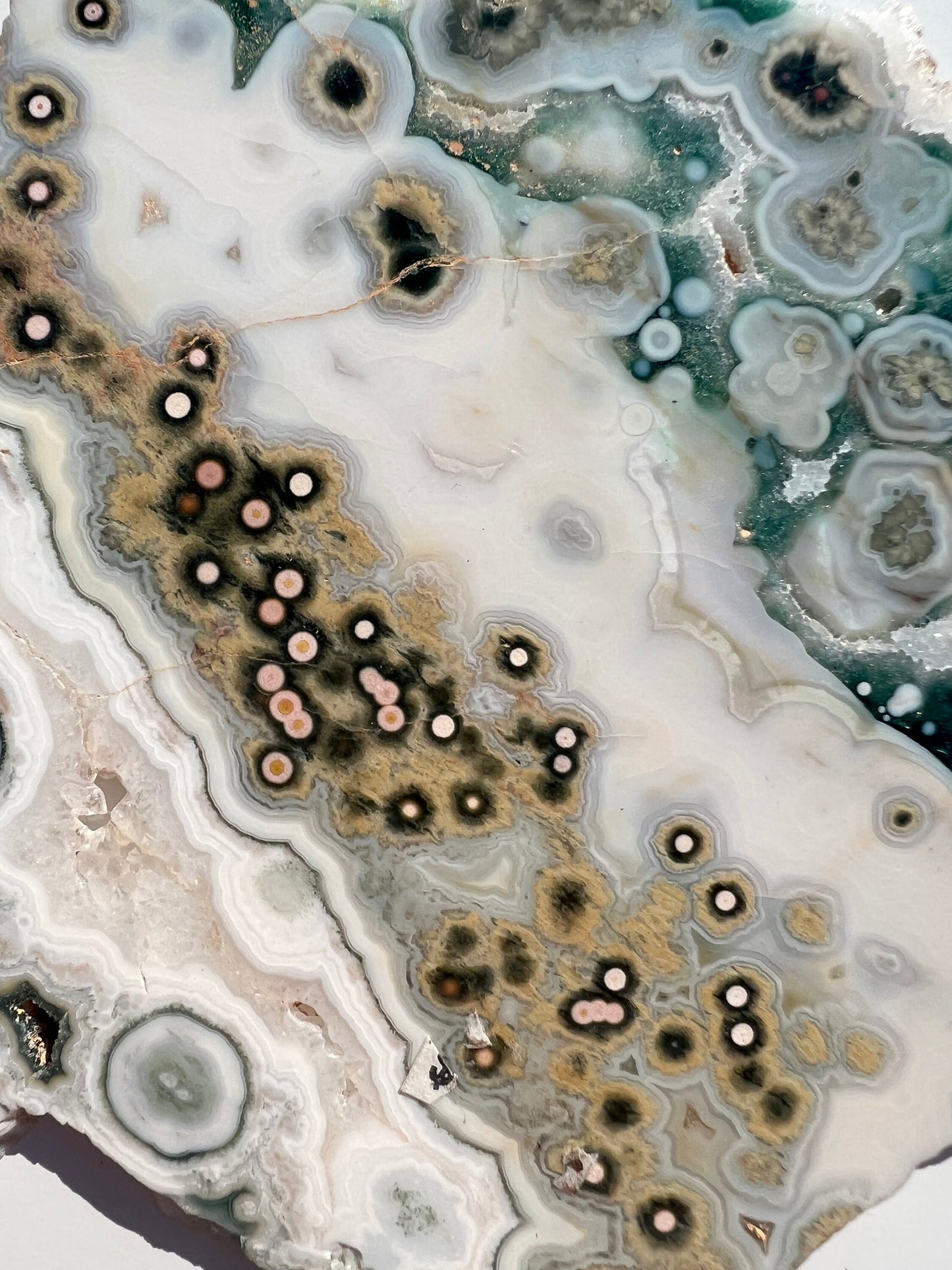 Vein 1 - 2 Ocean Jasper Slab / Flower burst orbs / OJU18