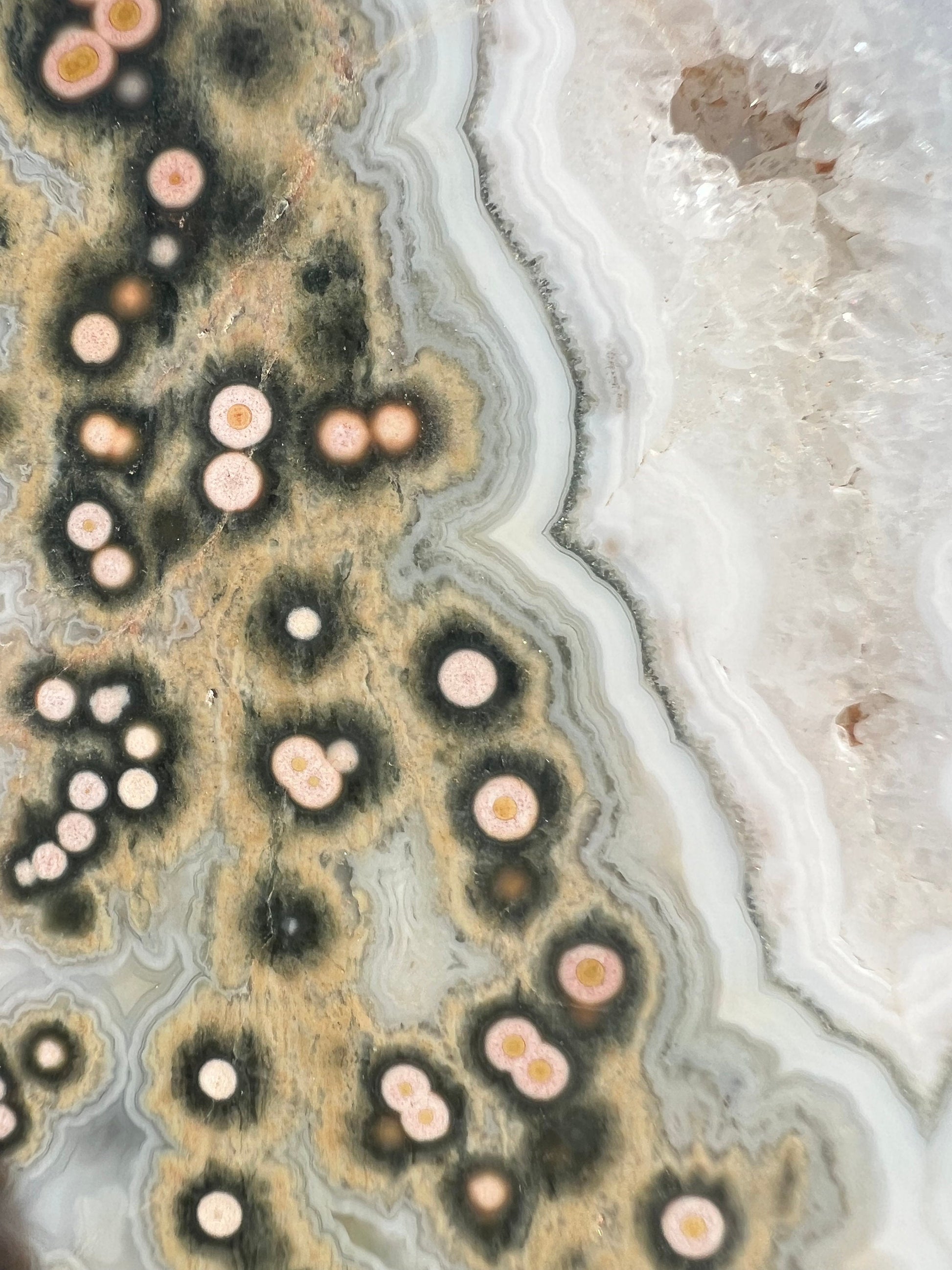 Vein 1 - 2 Ocean Jasper Slab / Flower burst orbs / OJU18