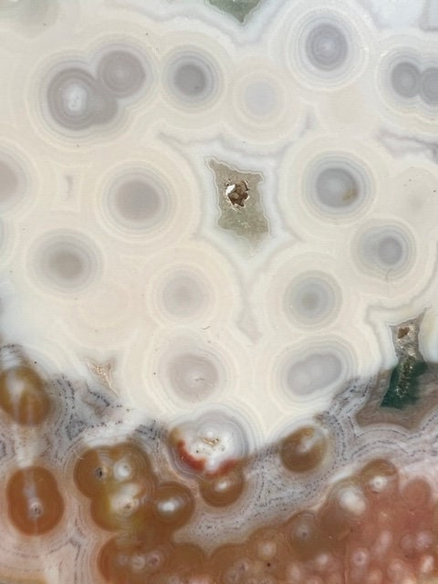 Vein 1 - 2 Ocean Jasper Slab / Flower burst orbs / OJU21