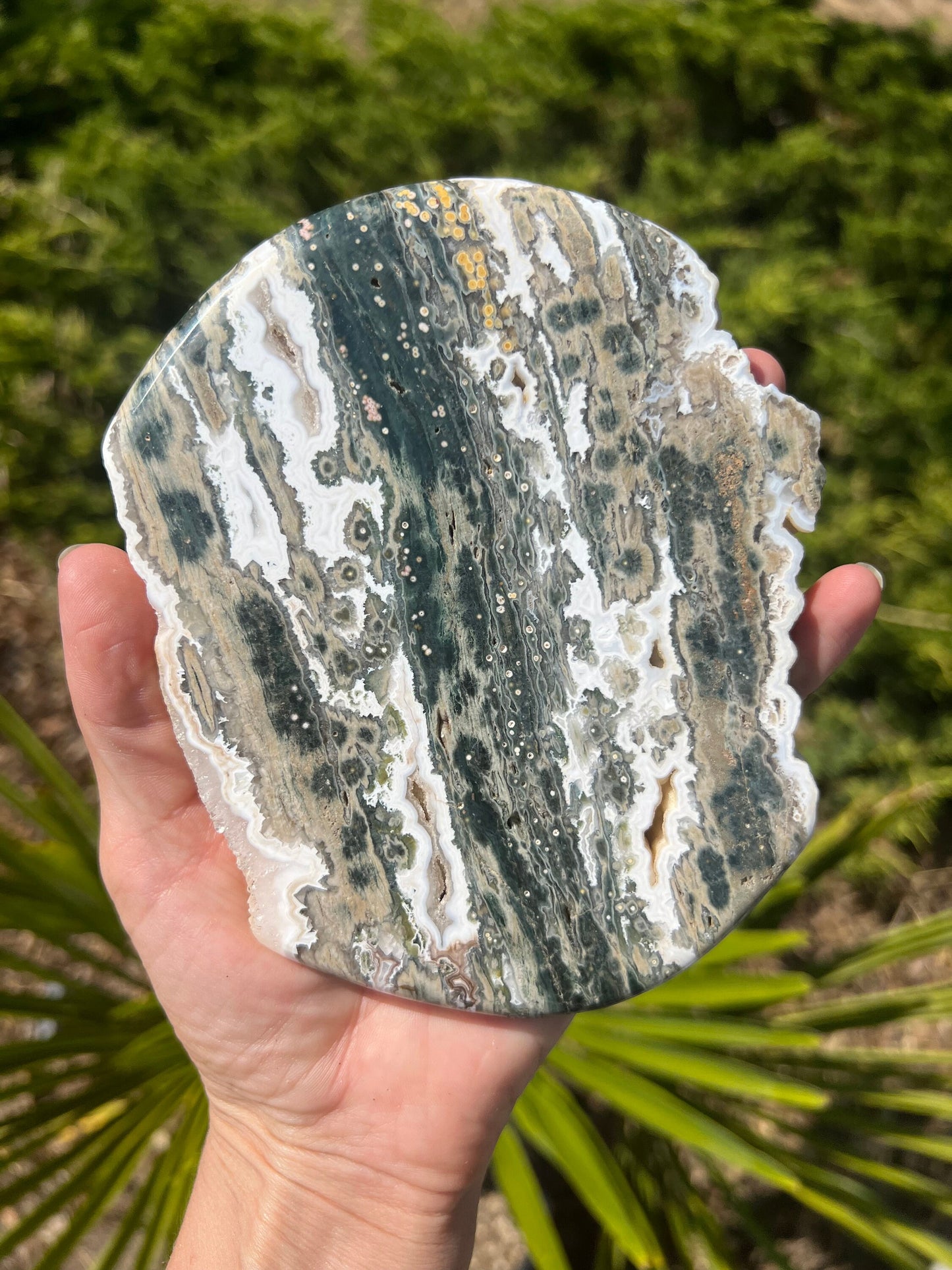 Vein 1 - 2 Ocean Jasper XXL Medallion / Flower burst orbs / OJU28