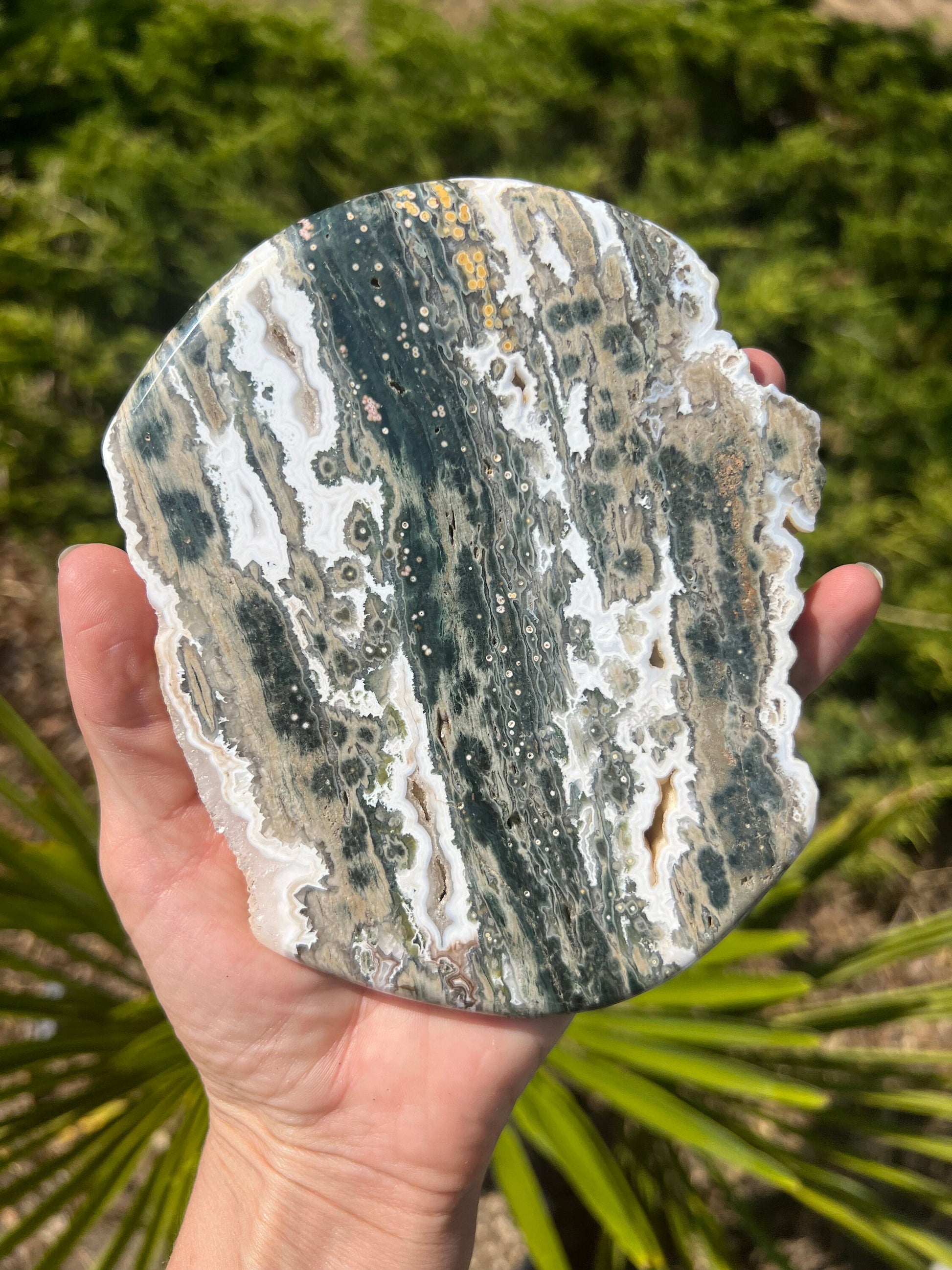 Vein 1 - 2 Ocean Jasper XXL Medallion / Flower burst orbs / OJU28