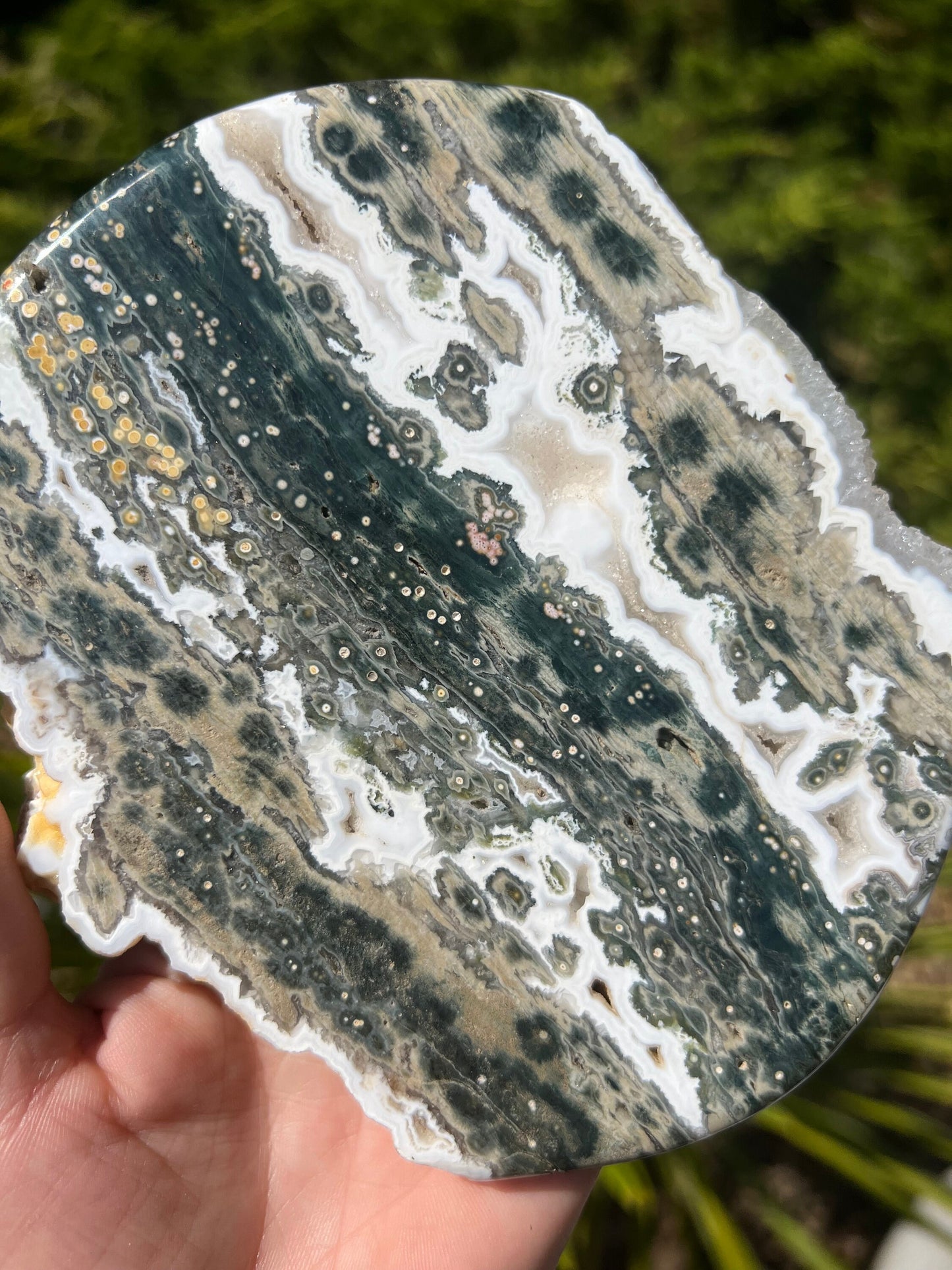 Vein 1 - 2 Ocean Jasper XXL Medallion / Flower burst orbs / OJU28