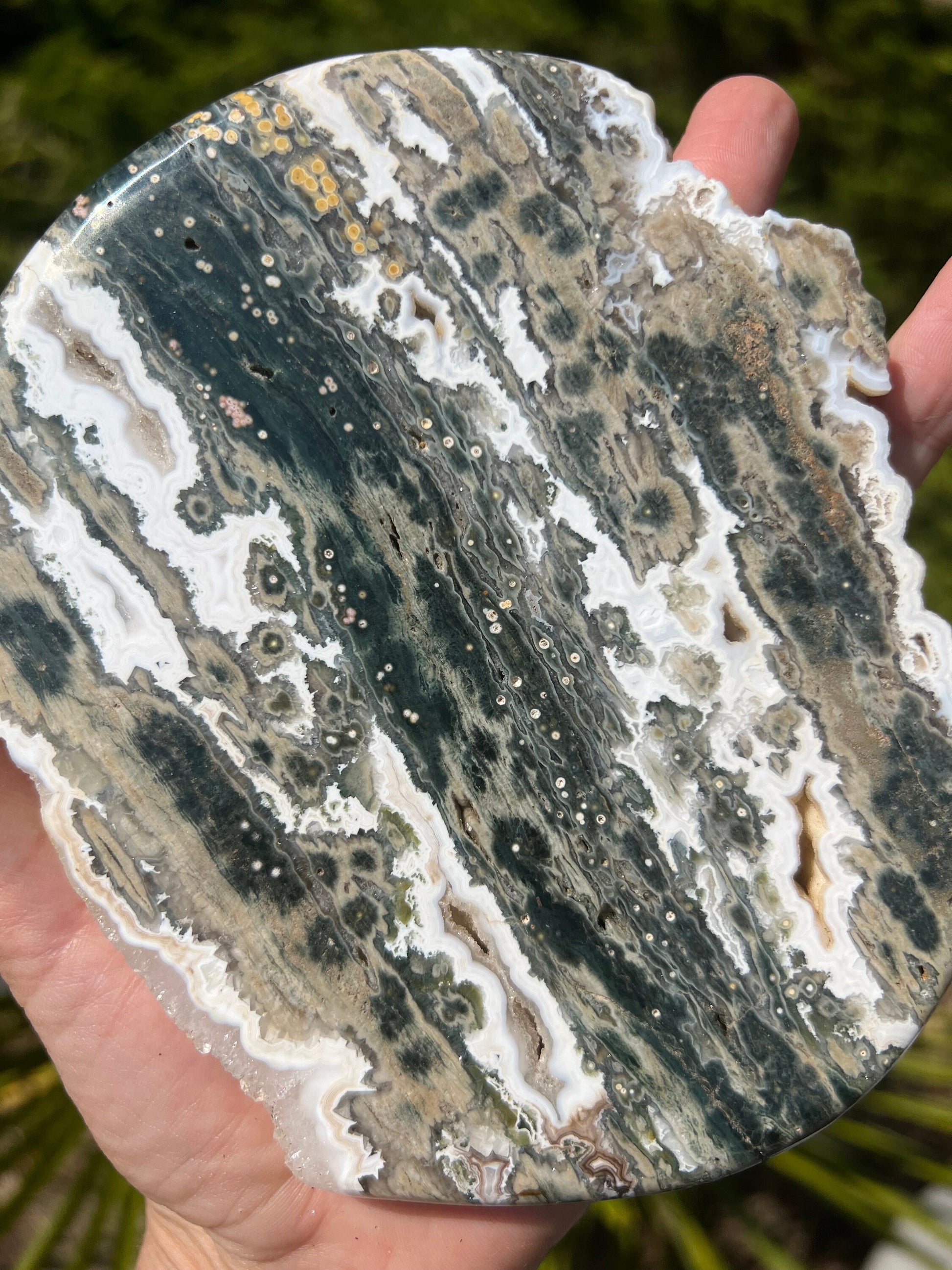 Vein 1 - 2 Ocean Jasper XXL Medallion / Flower burst orbs / OJU28