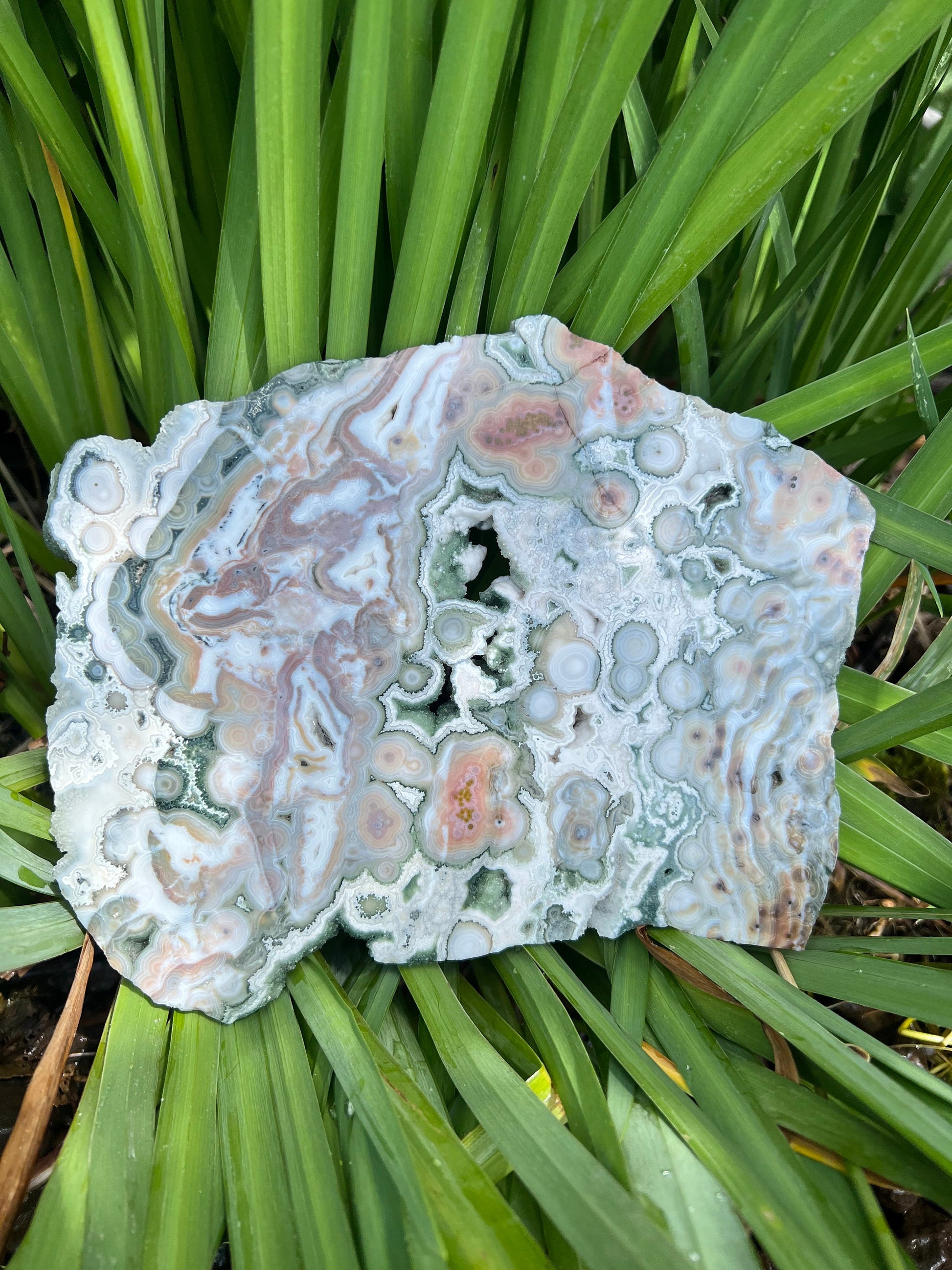 Ocean Jasper Eighth Vein Pink and Green Druzy Slab / V8 Slab / OJ HU11