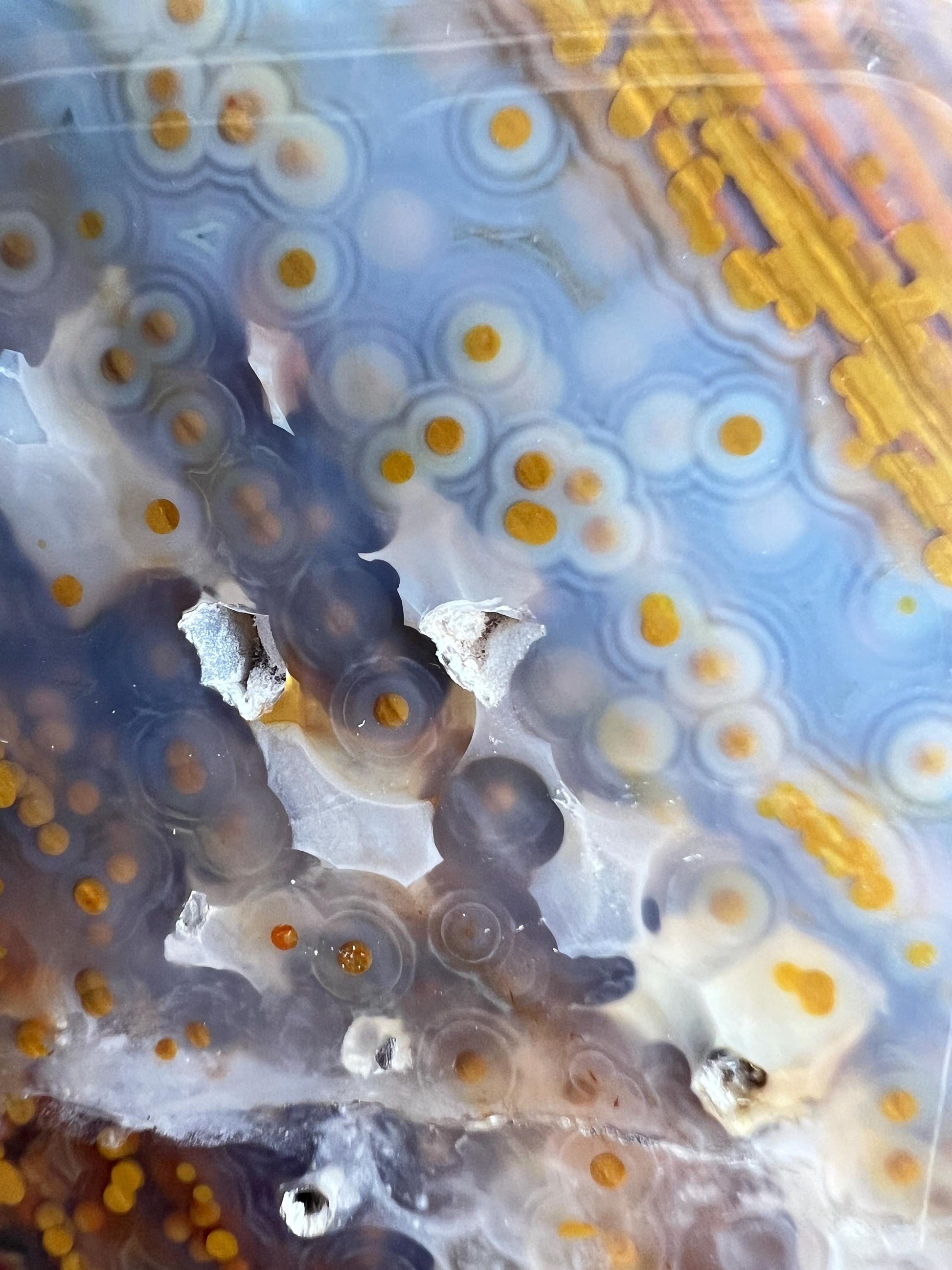 Ocean Jasper Free Form: Vein 3-4 Jelly Chalcedony with Fish Eye Pattern