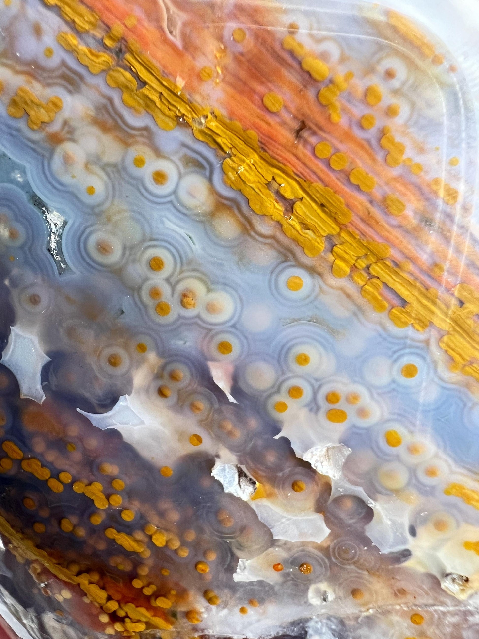 Ocean Jasper Free Form: Vein 3-4 Jelly Chalcedony with Fish Eye Pattern