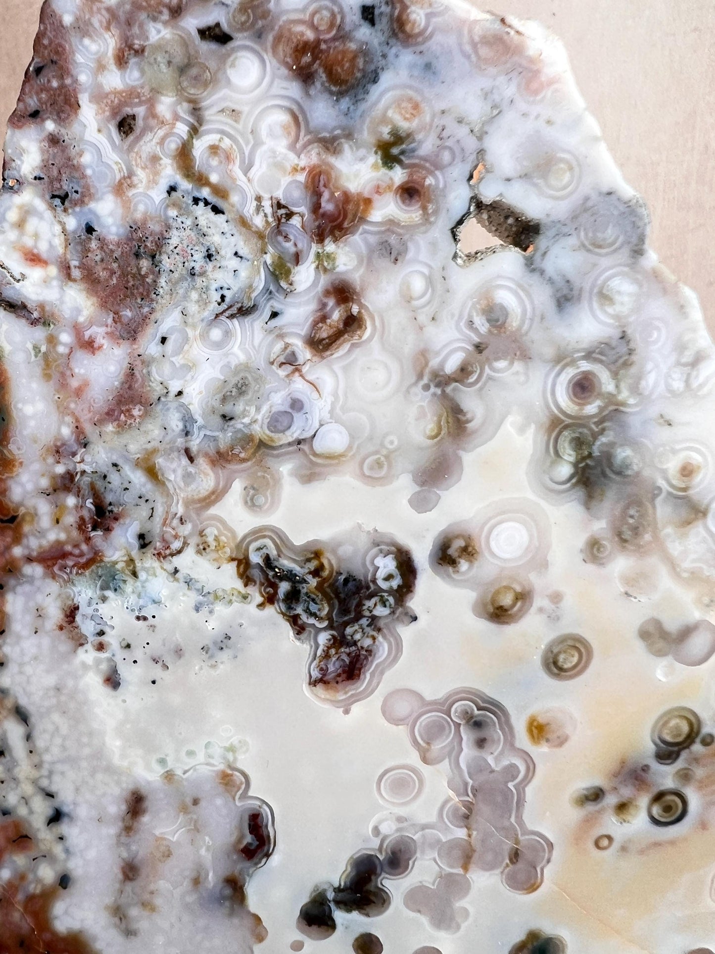 Vein 1 - 2 Large Ocean Jasper Slab Highly Translucent