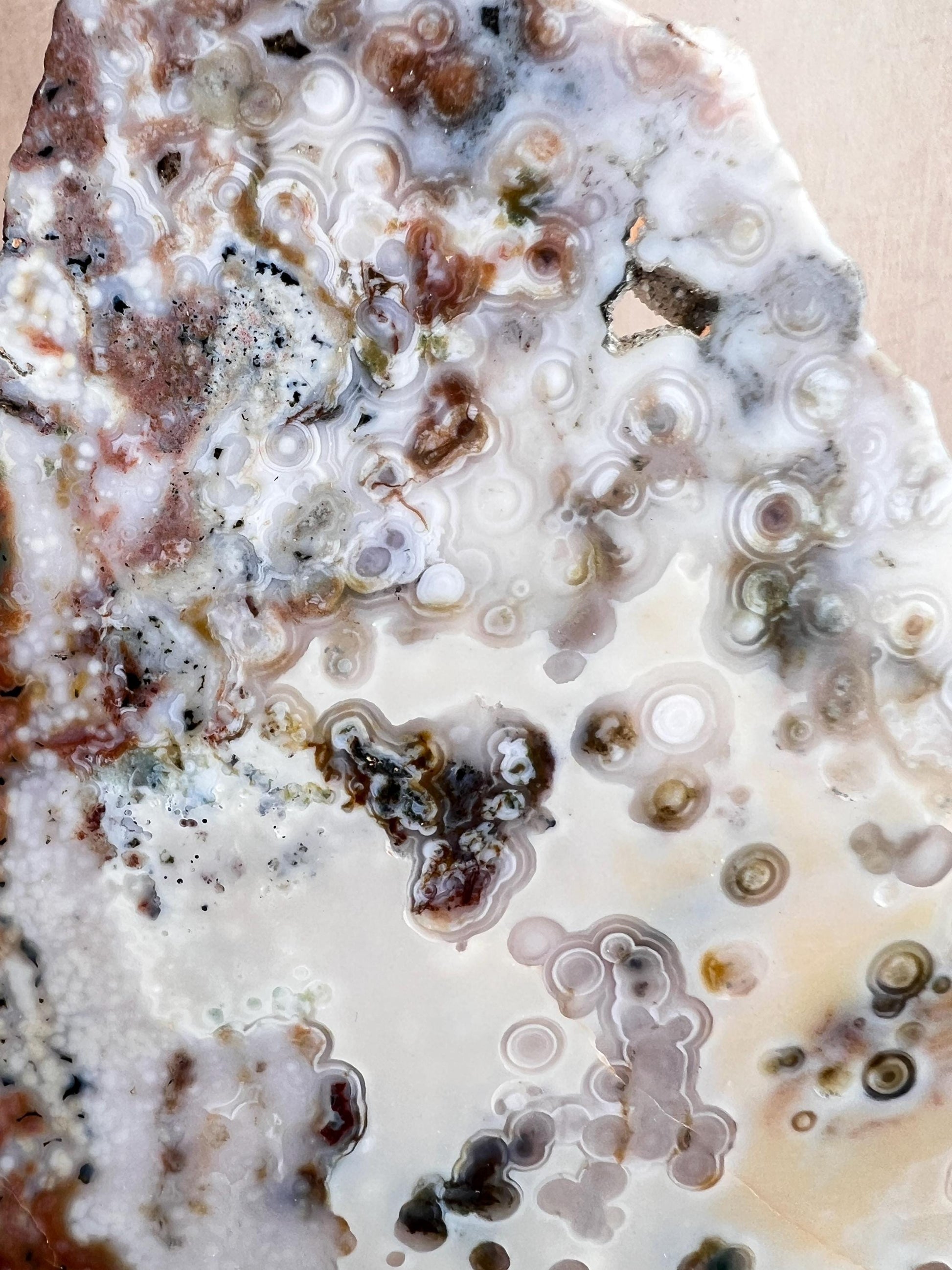 Vein 1 - 2 Large Ocean Jasper Slab Highly Translucent