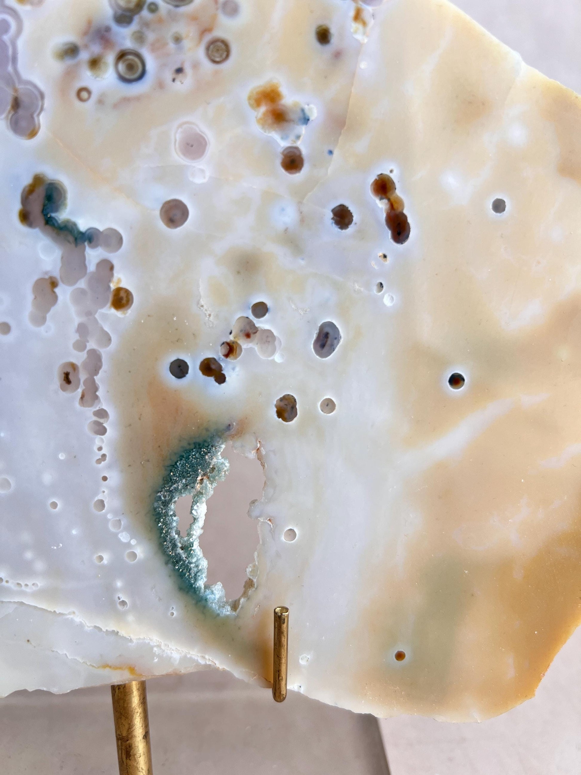 Vein 1 - 2 Large Ocean Jasper Slab Highly Translucent