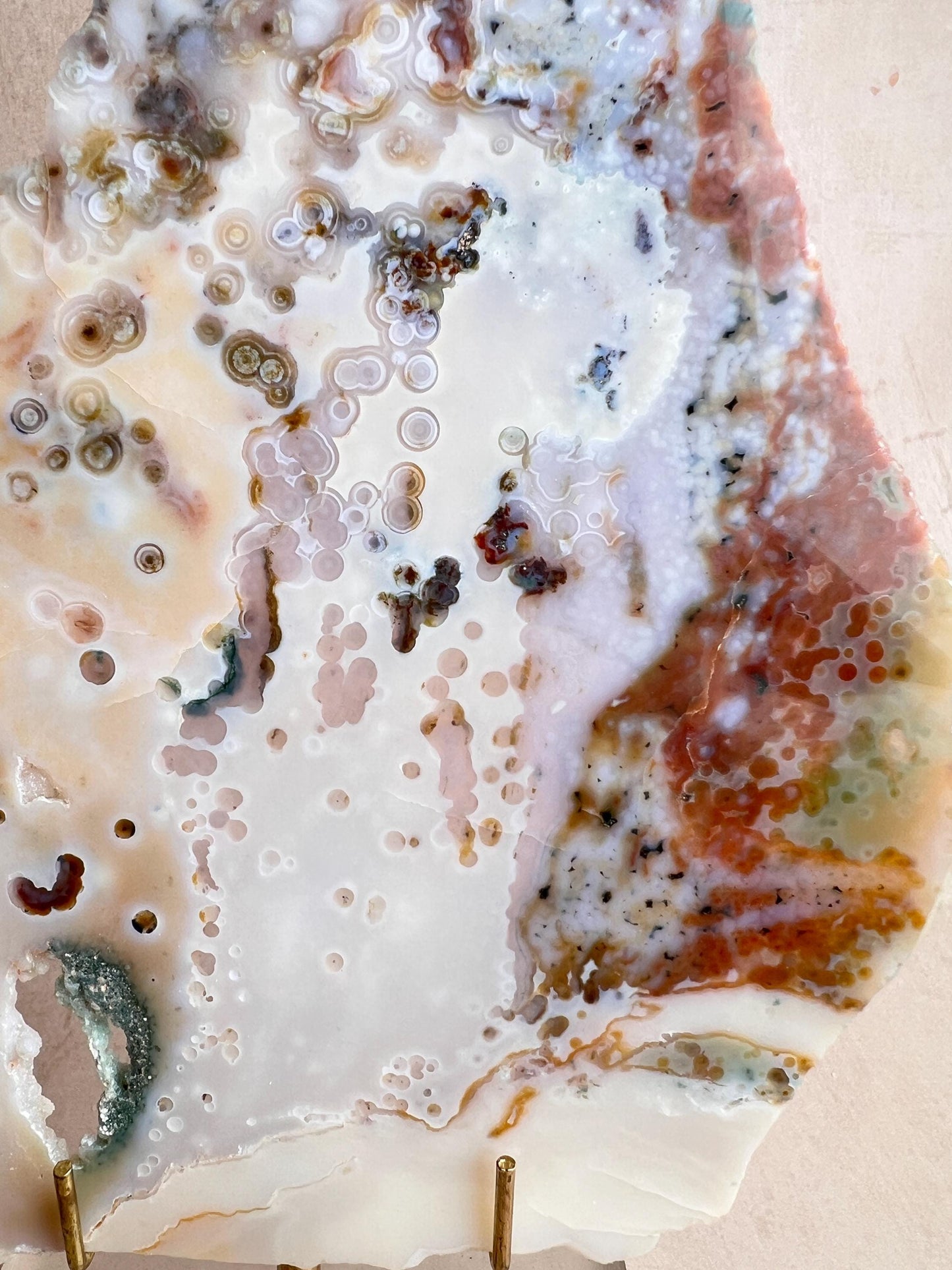 Vein 1 - 2 Large Ocean Jasper Slab Highly Translucent