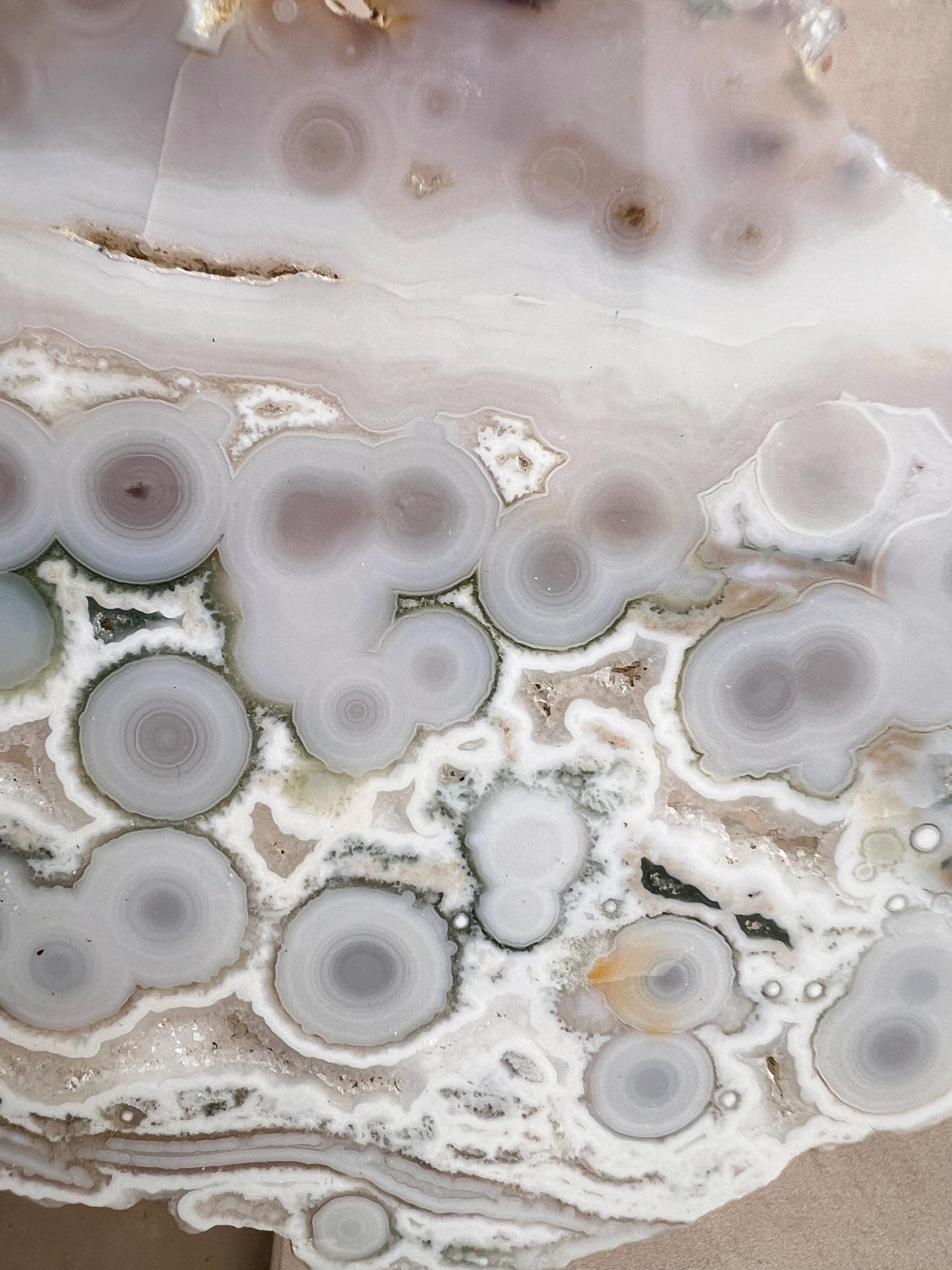 Vein 1 - 2 Ocean Jasper Slab White and Green with Bullseye Orbs