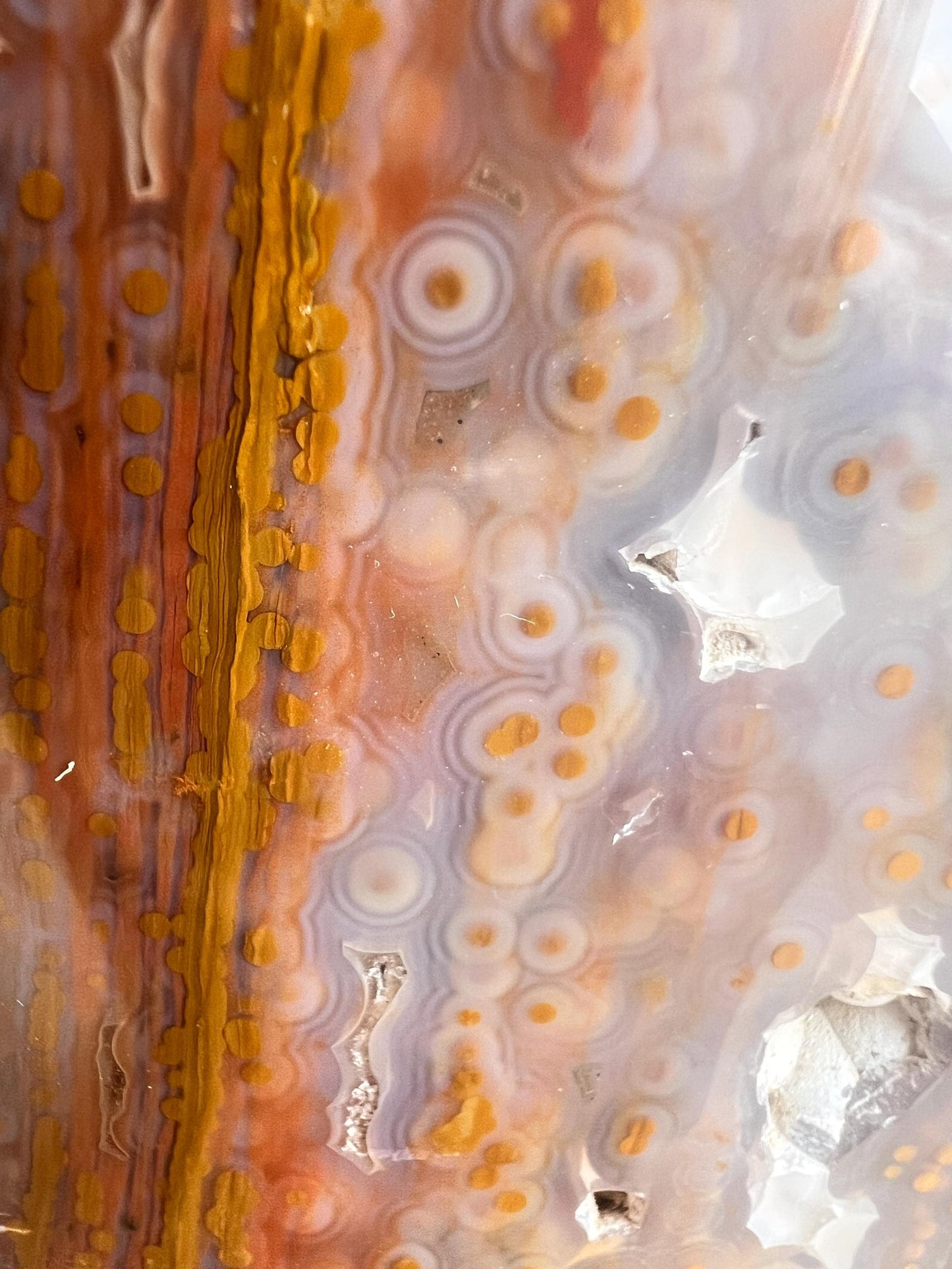 High Grade XL jelly Ocean Jasper Vein 3 - 4 Free Form