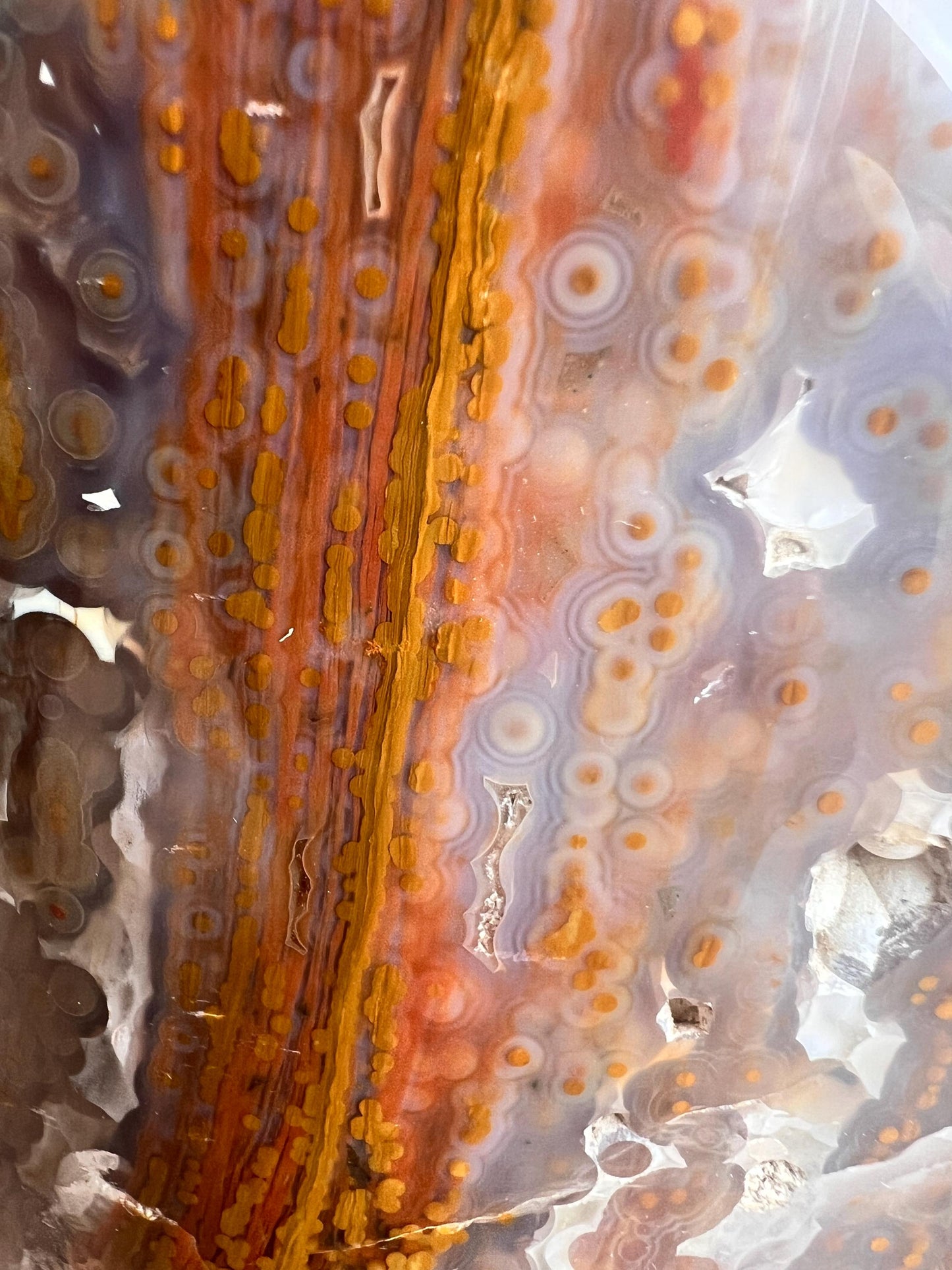 High Grade XL jelly Ocean Jasper Vein 3 - 4 Free Form