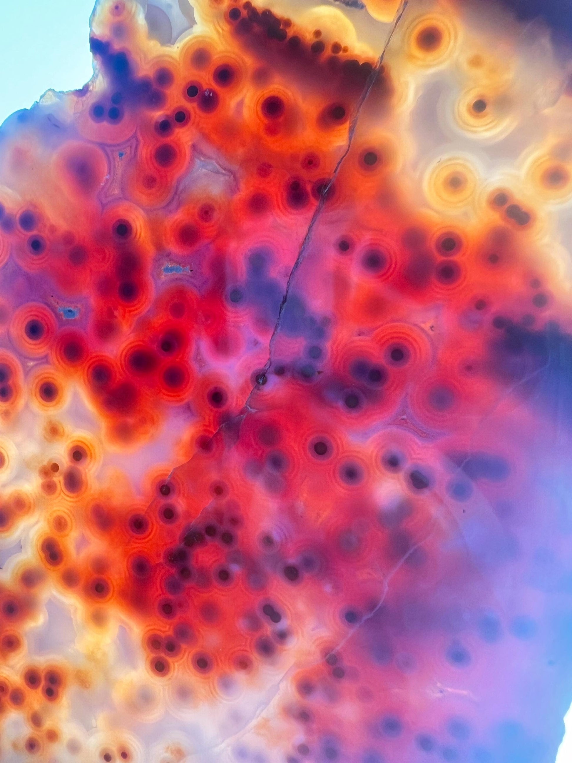 Jelly Ocean Jasper Vein 3 - 4 Rare Red Slab / High Translucency