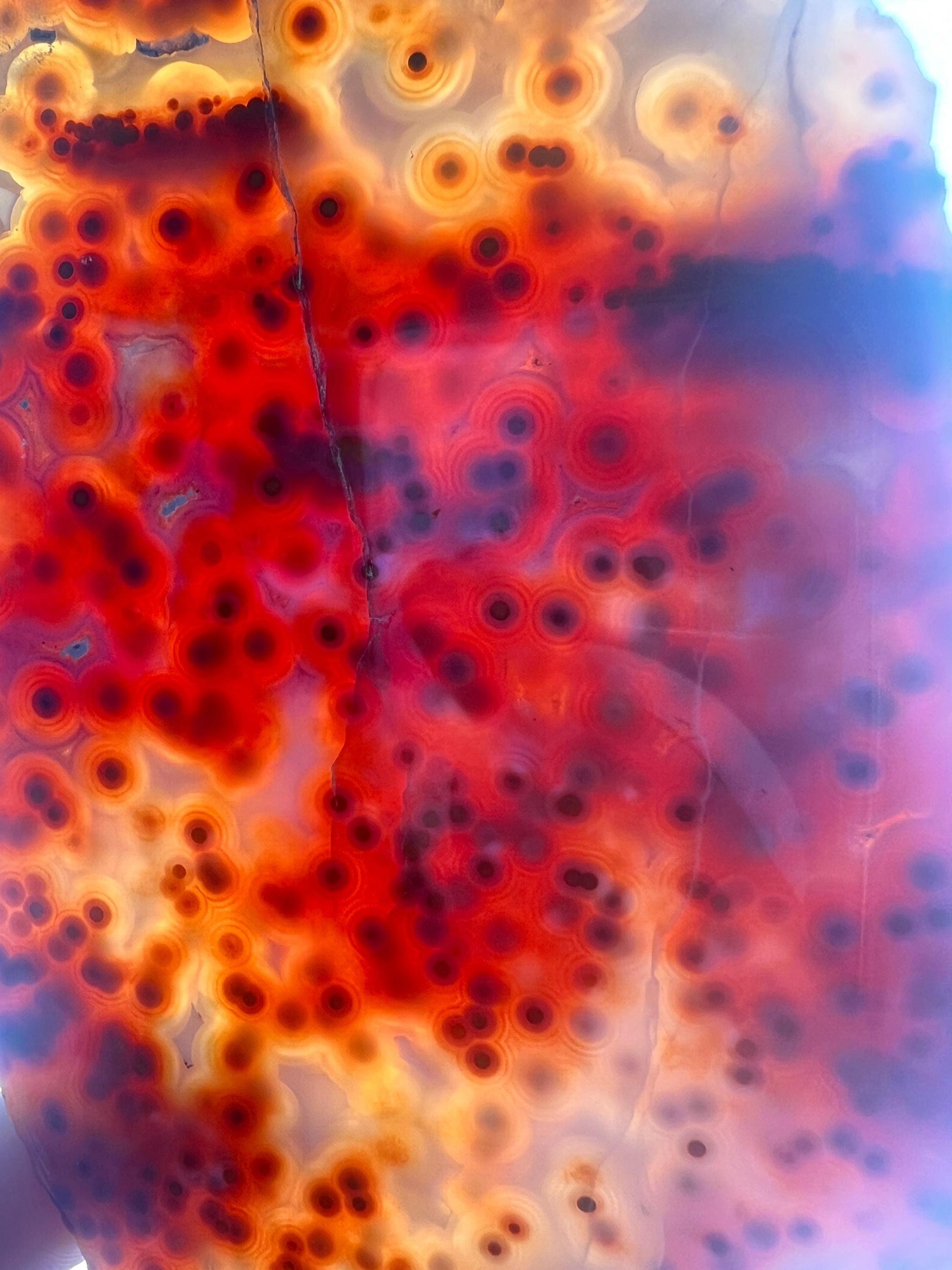 Jelly Ocean Jasper Vein 3 - 4 Rare Red Slab / High Translucency