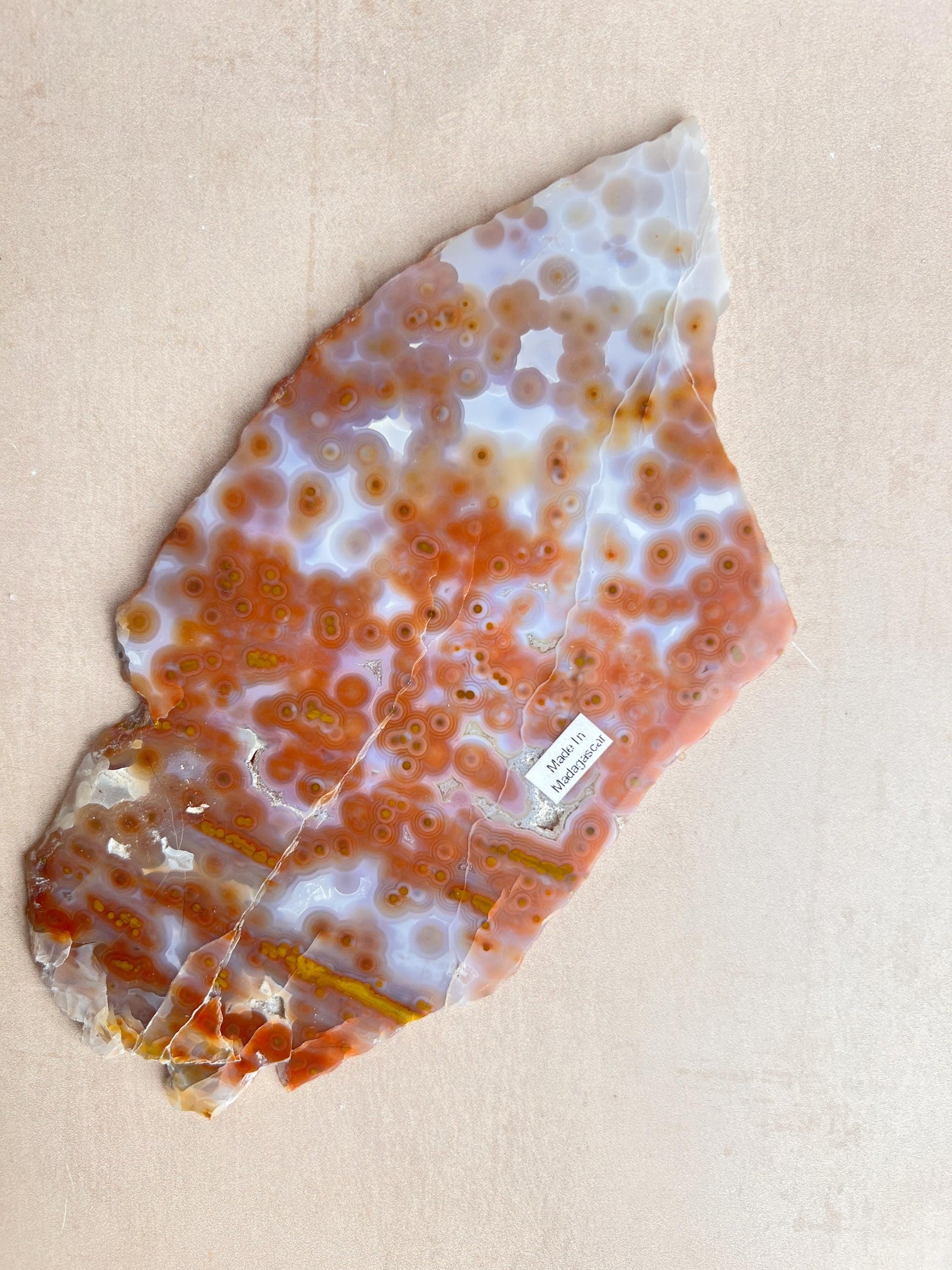 Jelly Ocean Jasper Vein 3 - 4 Rare Red Slab / High Translucency