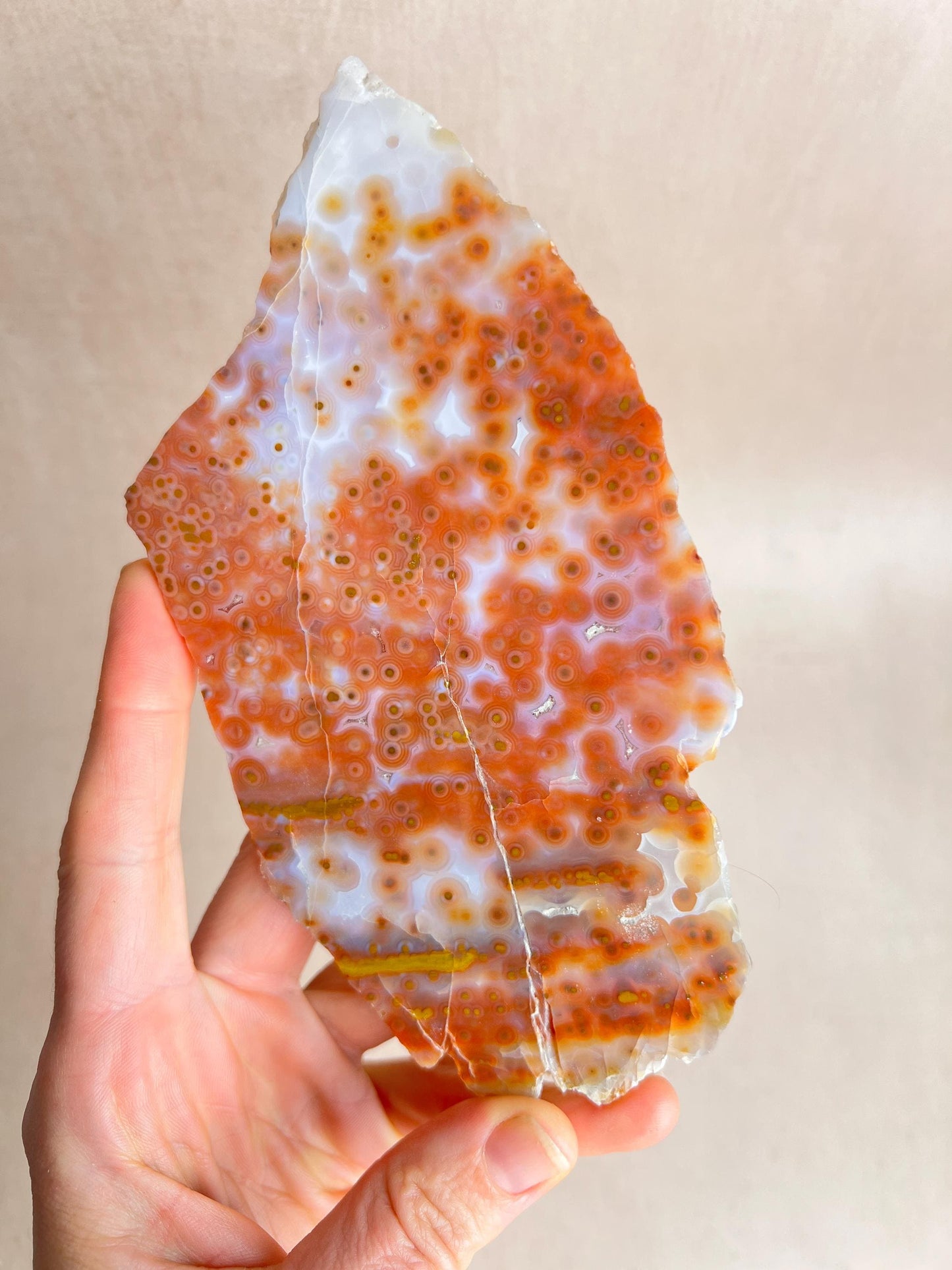 Jelly Ocean Jasper Vein 3 - 4 Rare Red Slab / High Translucency