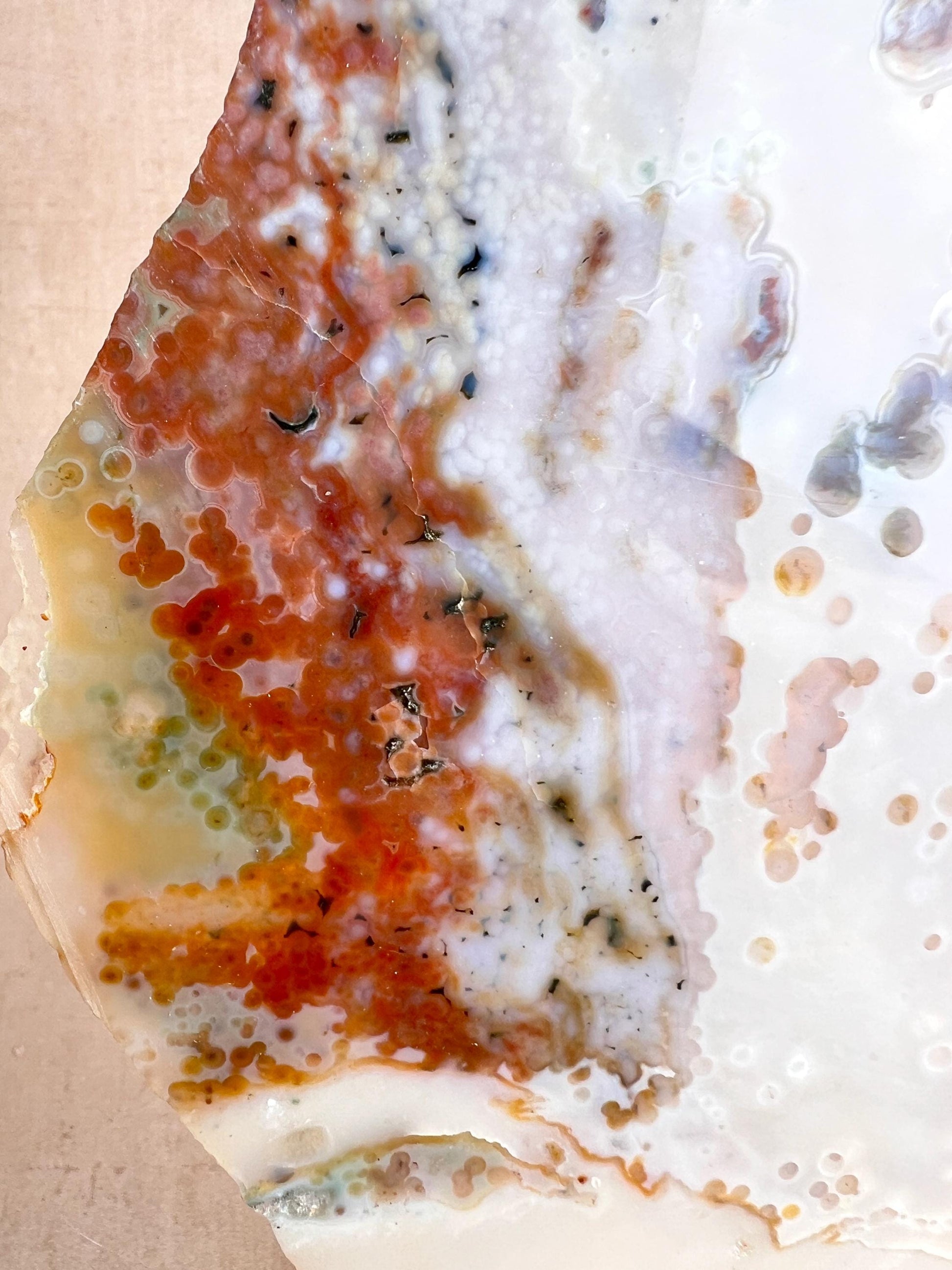 Vein 1 - 2 Large Ocean Jasper Slab Highly Translucent